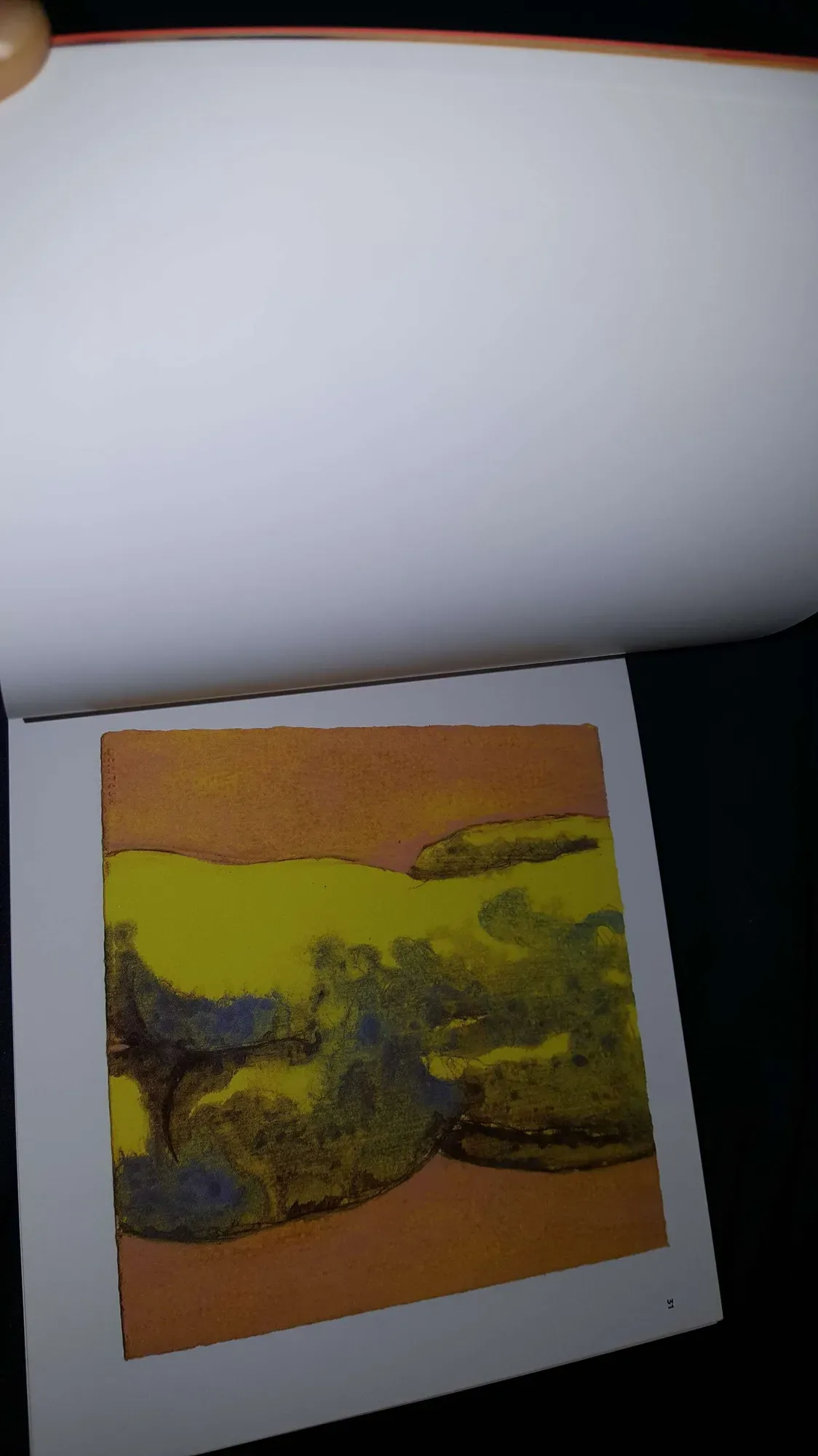 Art Nudes Coffee Table Book By Local Painter/Artist Bent McIn...