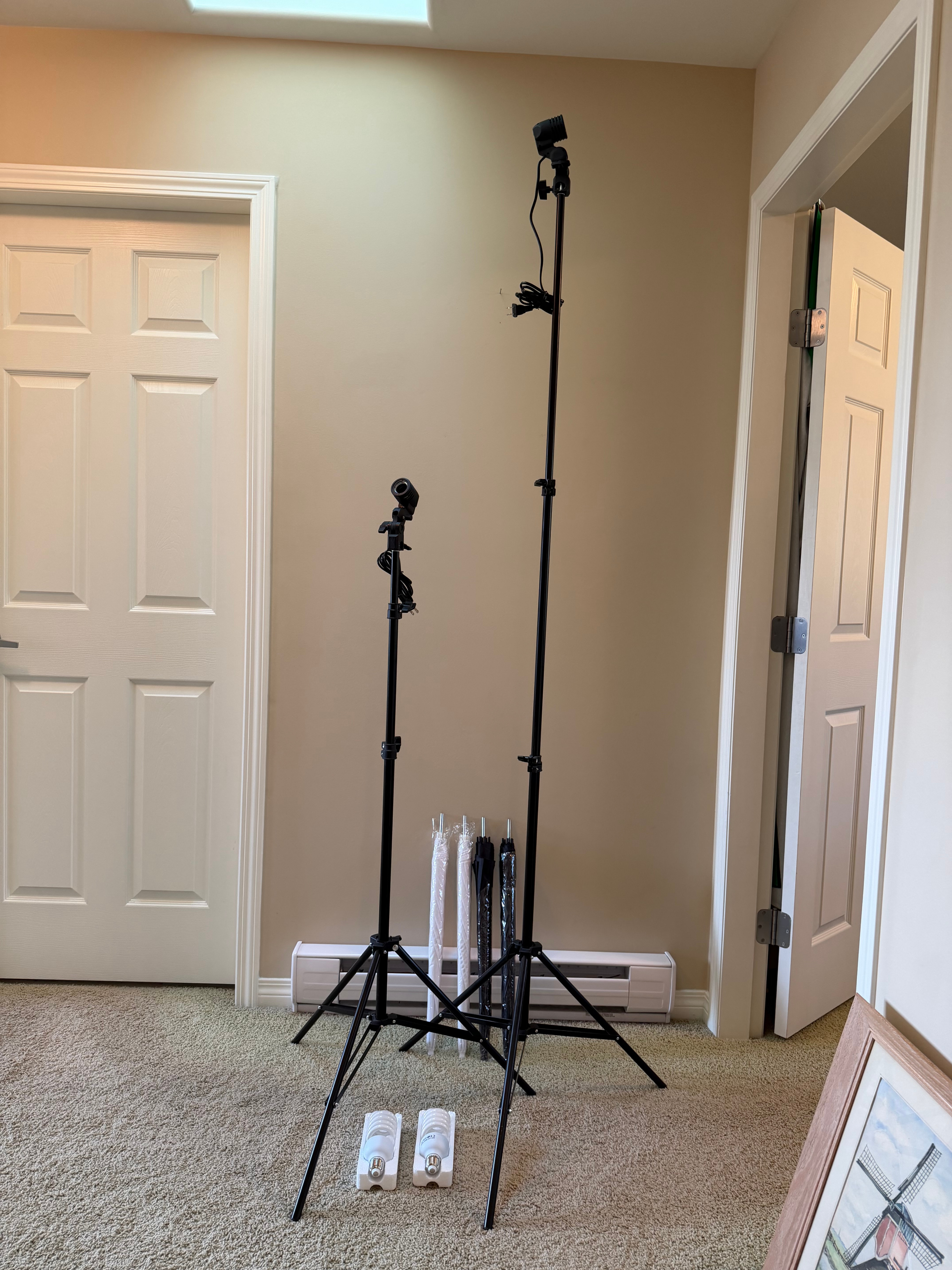 Lighting Kit for Photo and Video