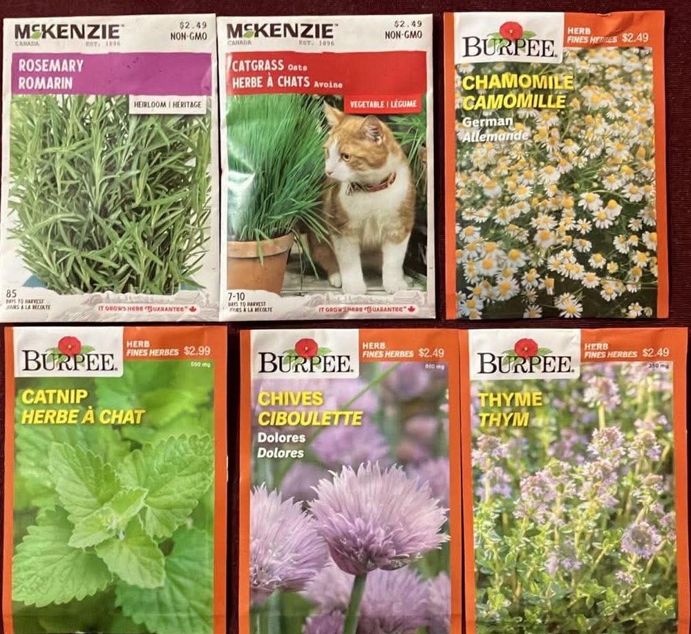Herb Seeds Rosemary Catgrass Chamomile Catnip Chives Thyme