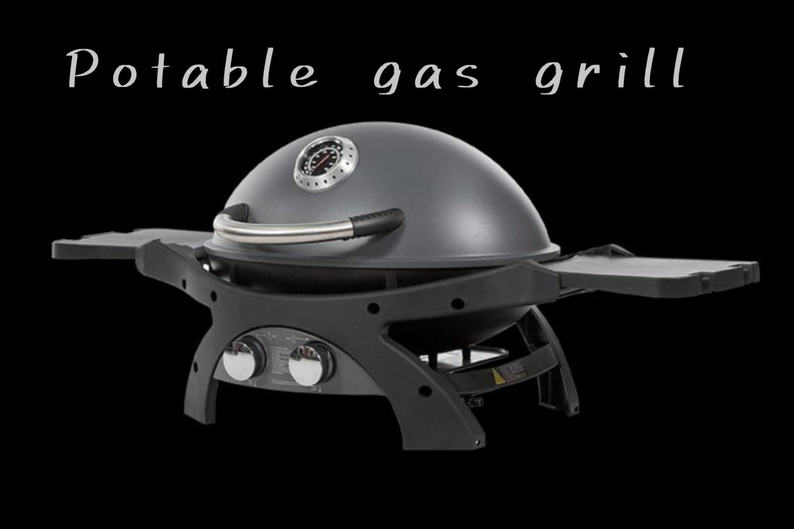 Portable Gas Grill - photo 4