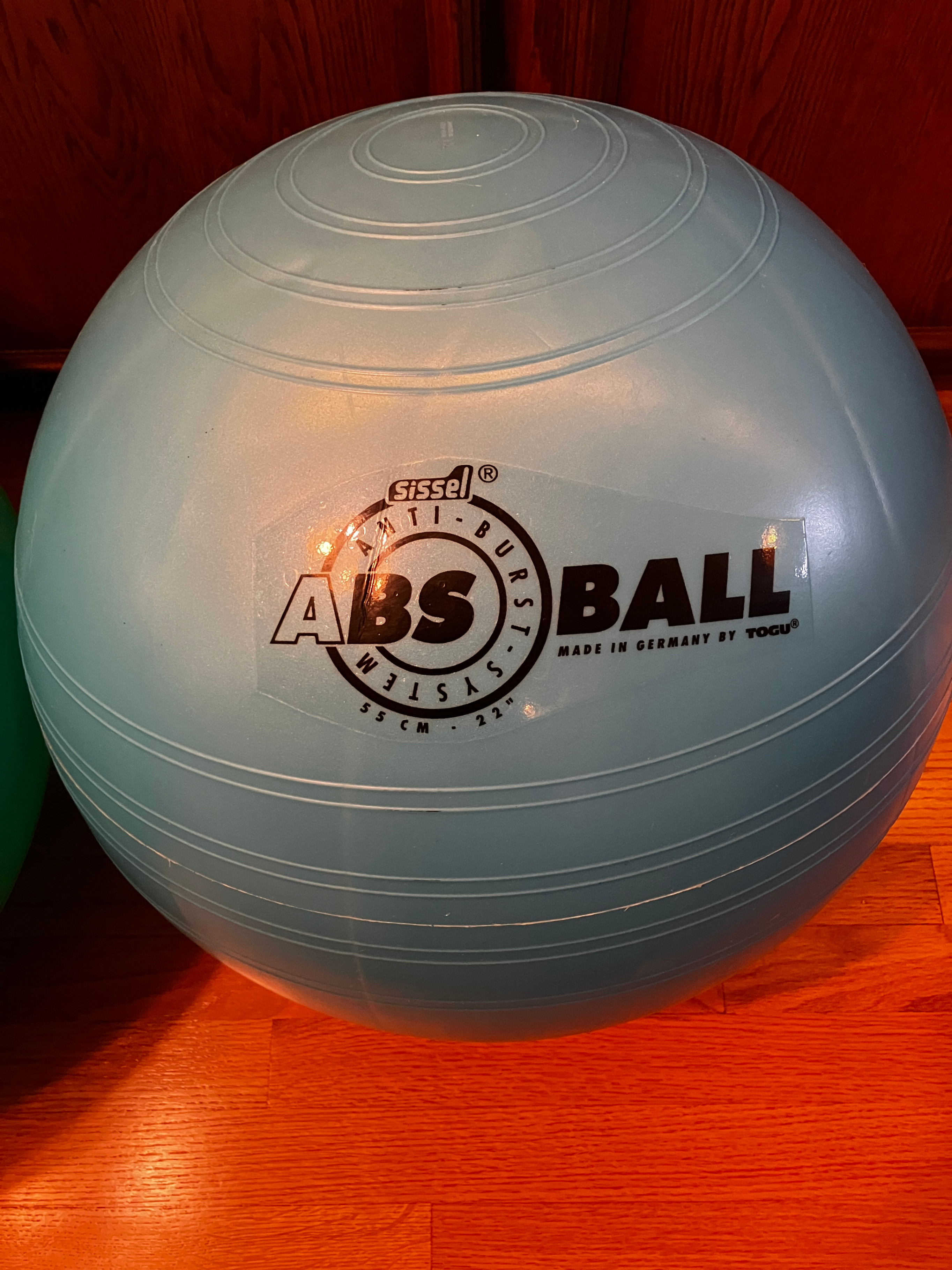 Exercise Balls, 65cm and 55cm, with Training DVD