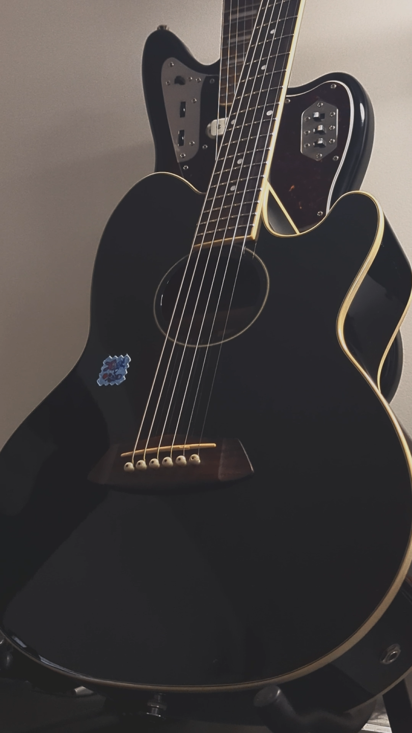 Ibanez Talman Acoustic Electric Guitar