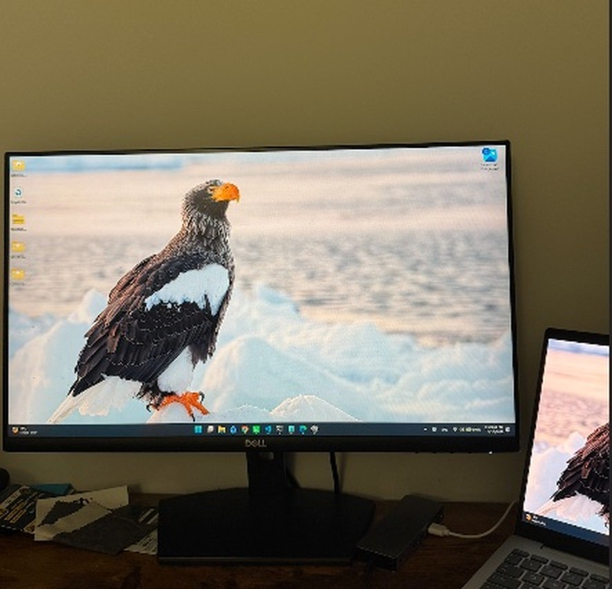 Dell S2421NX 24" IPS Monitor 1080p 75Hz FreeSync - photo 2