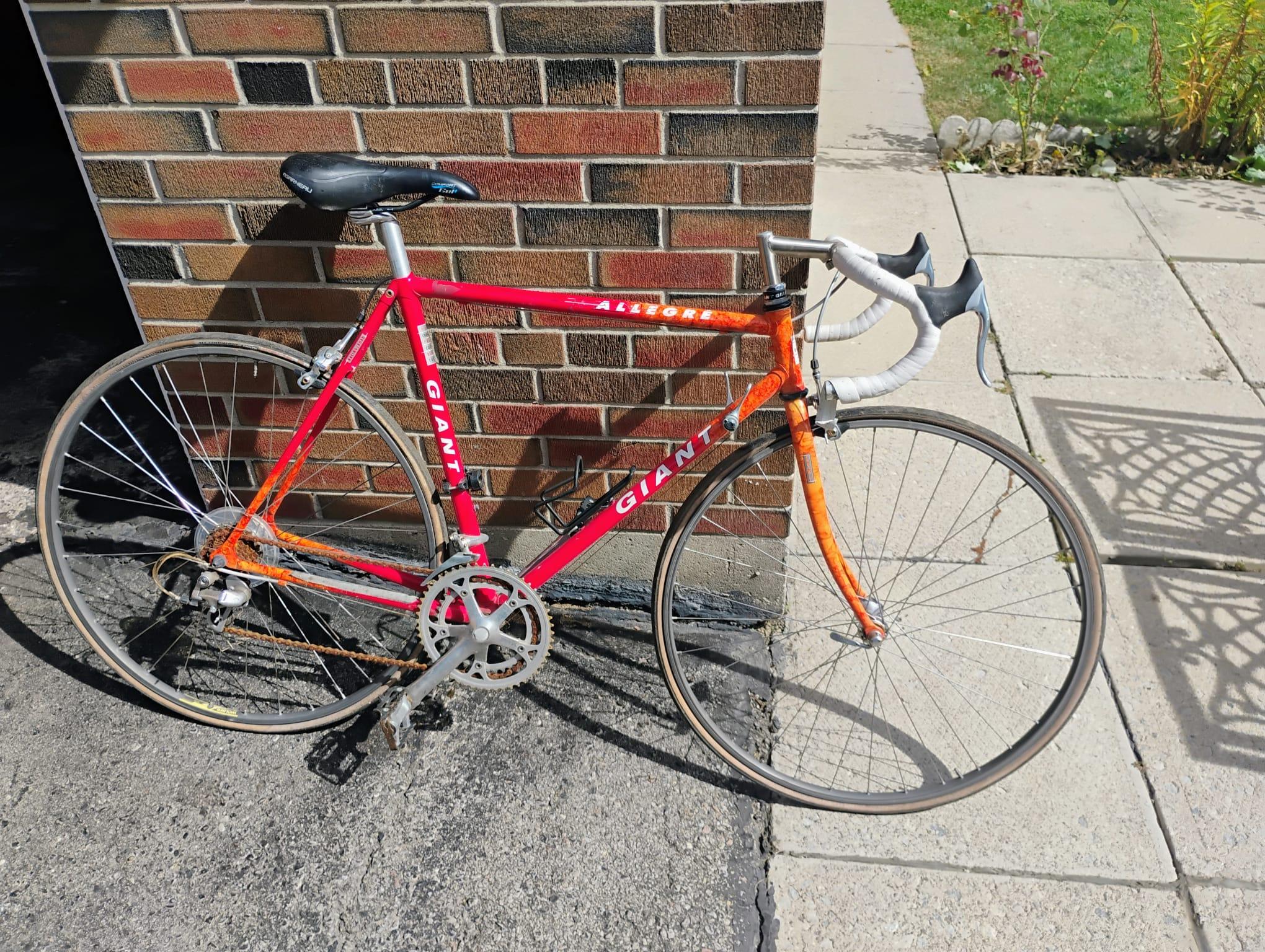 1990's Giant Allegre Racing Bike