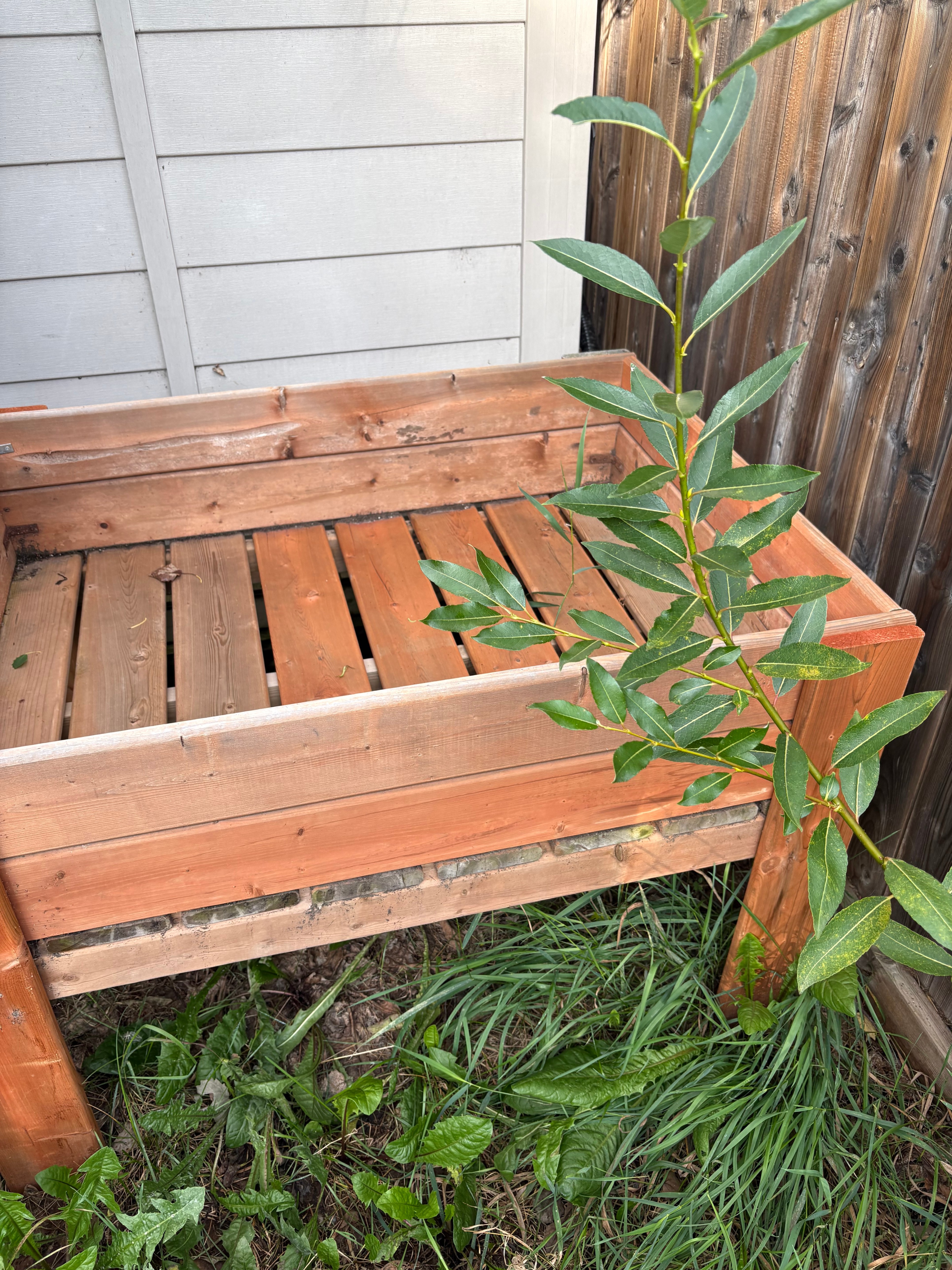 Wooden Raised Garden Bed - photo 2
