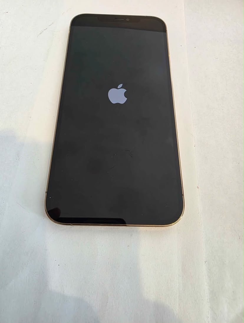 iPhone 12 Pro Max 256GB