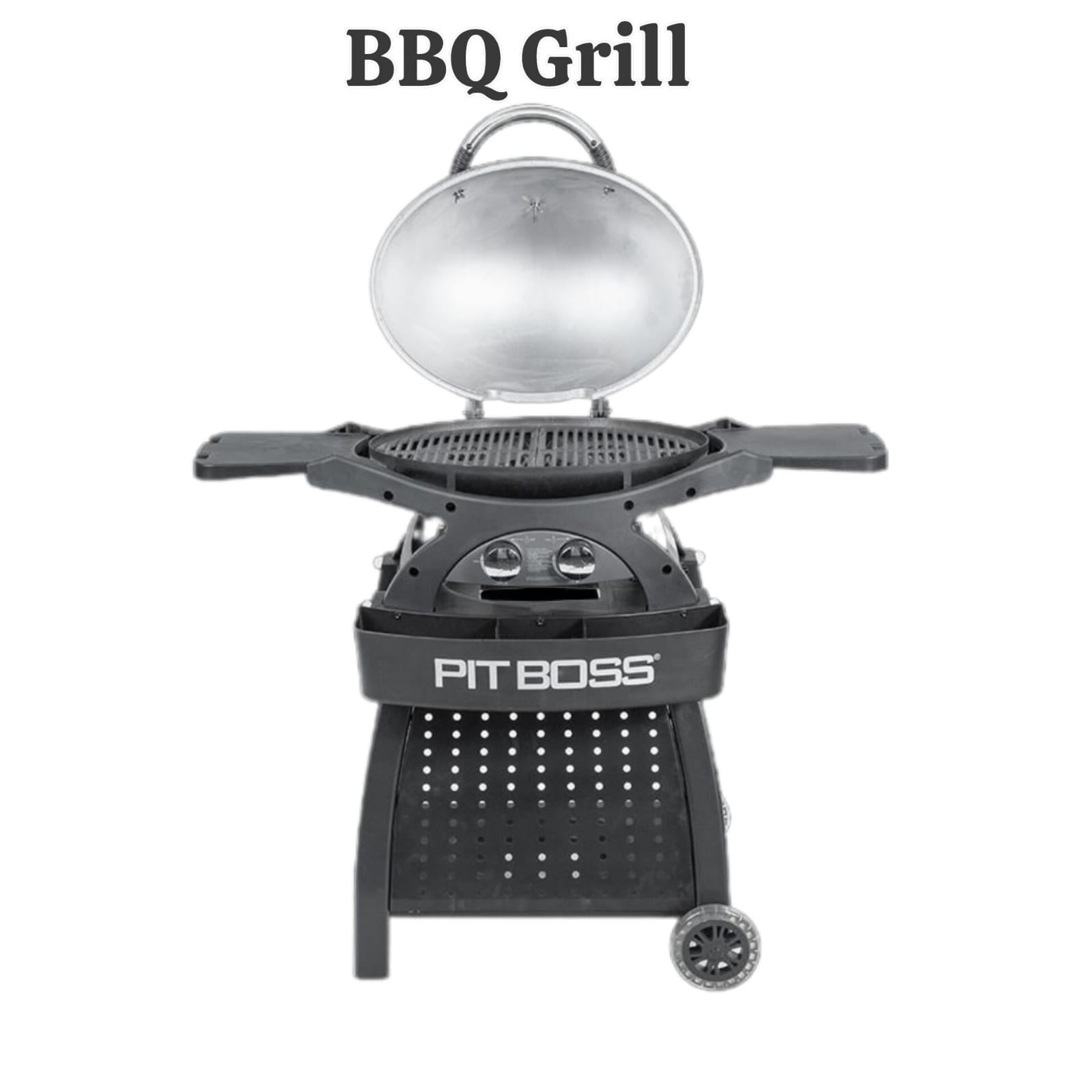 Outdoor Propane BBQ Grill Station