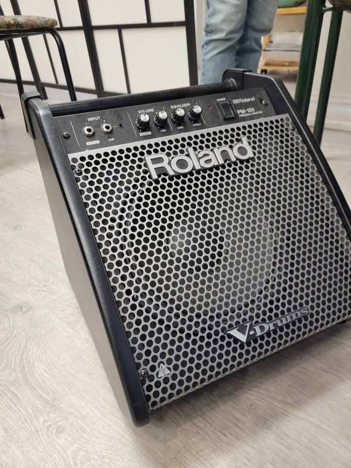 Roland PM100 drum monitor - photo 3