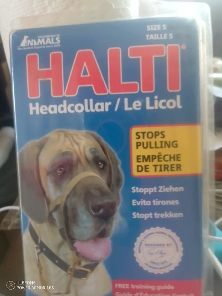 Never used Halti headcollar