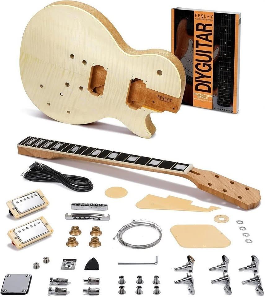 48. Fesley LP-Style 6-String Electric Kit