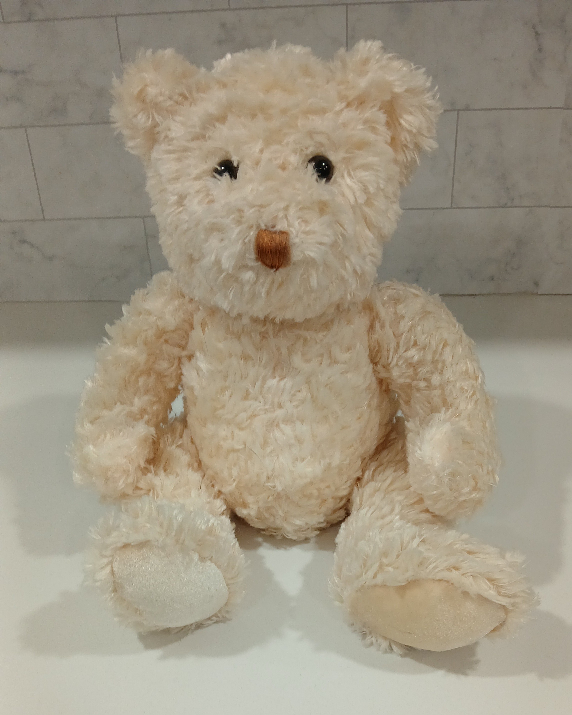 Dandee International Teddy Bear