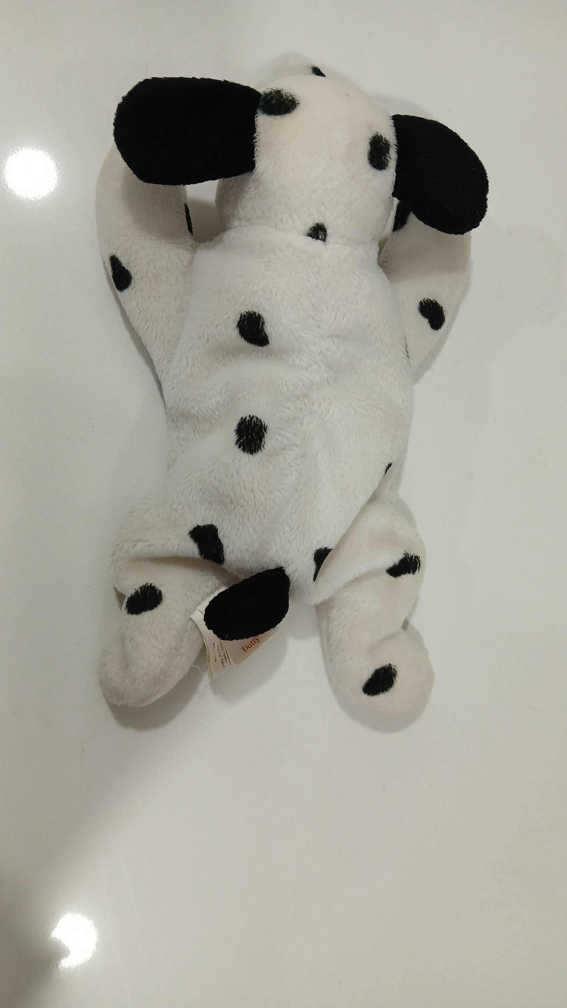 Ty Beany Baby Dotty With Birth Tag, Like New, - photo 3