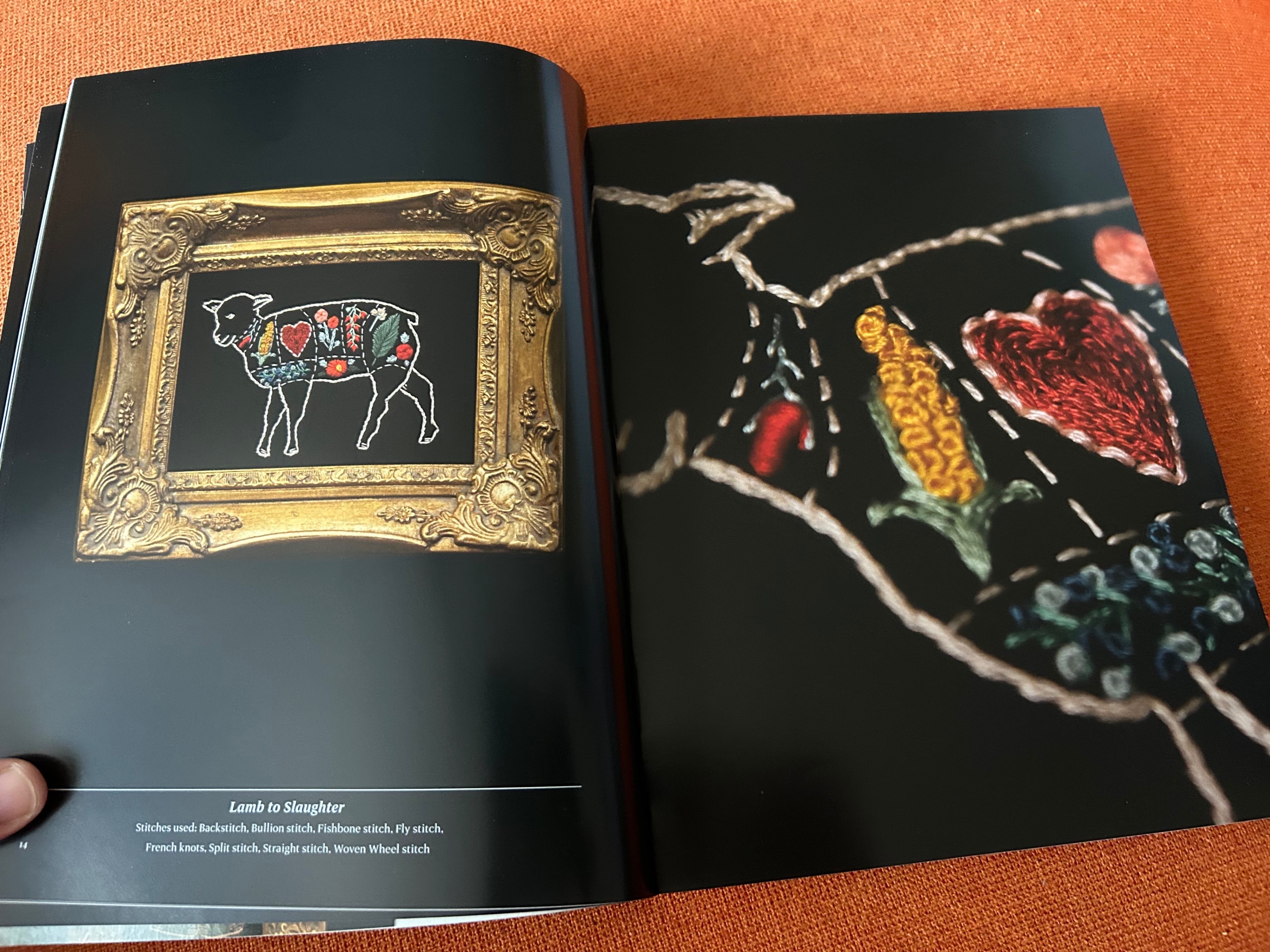 Stitchcraft: Embroidery Book of Stitches Peculiar Patterns - photo 3