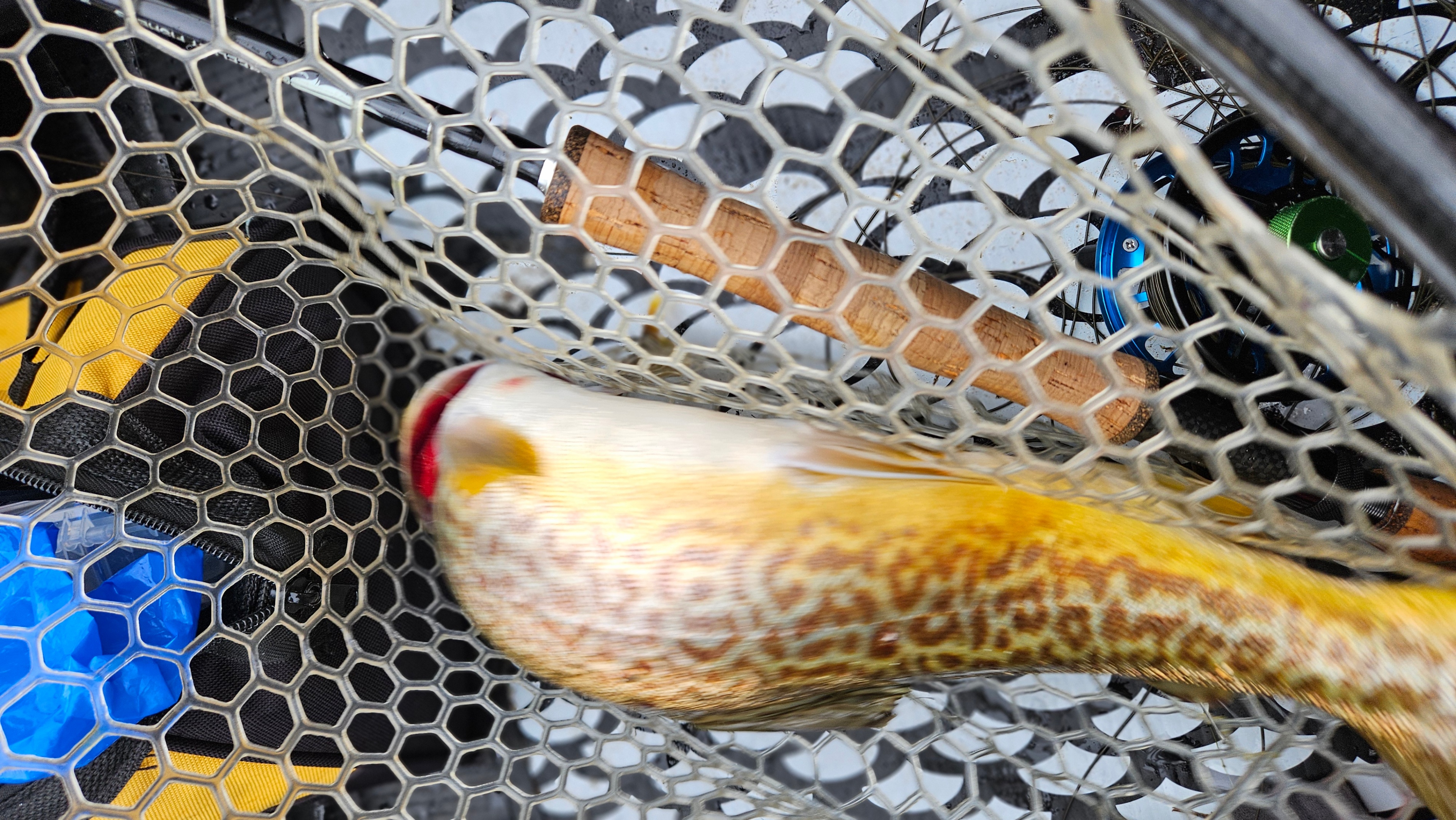 New 9'6" 6wt Fly Rod, 4-Piece - photo 4