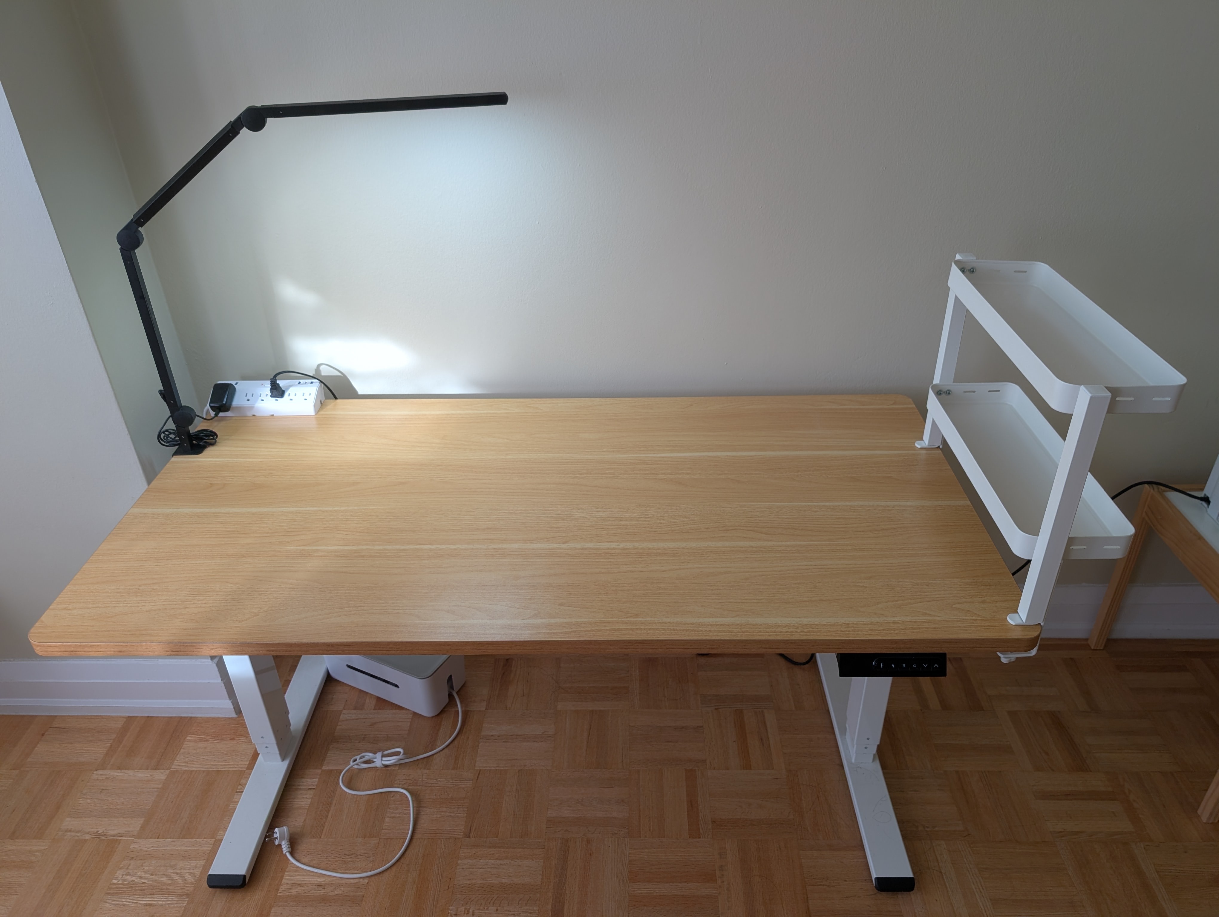 FlexiSpot E5 Standing Desk + Lamp, Shelf & Power Strip