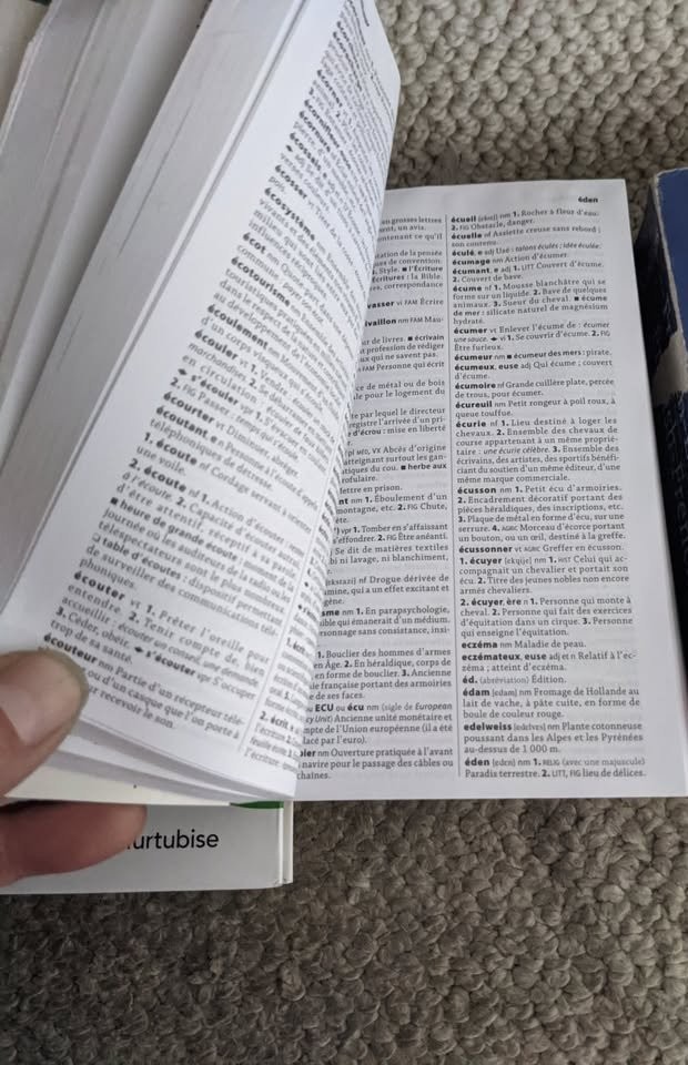 French book and dictionary, Dictionnaire Larousse Poche - photo 4