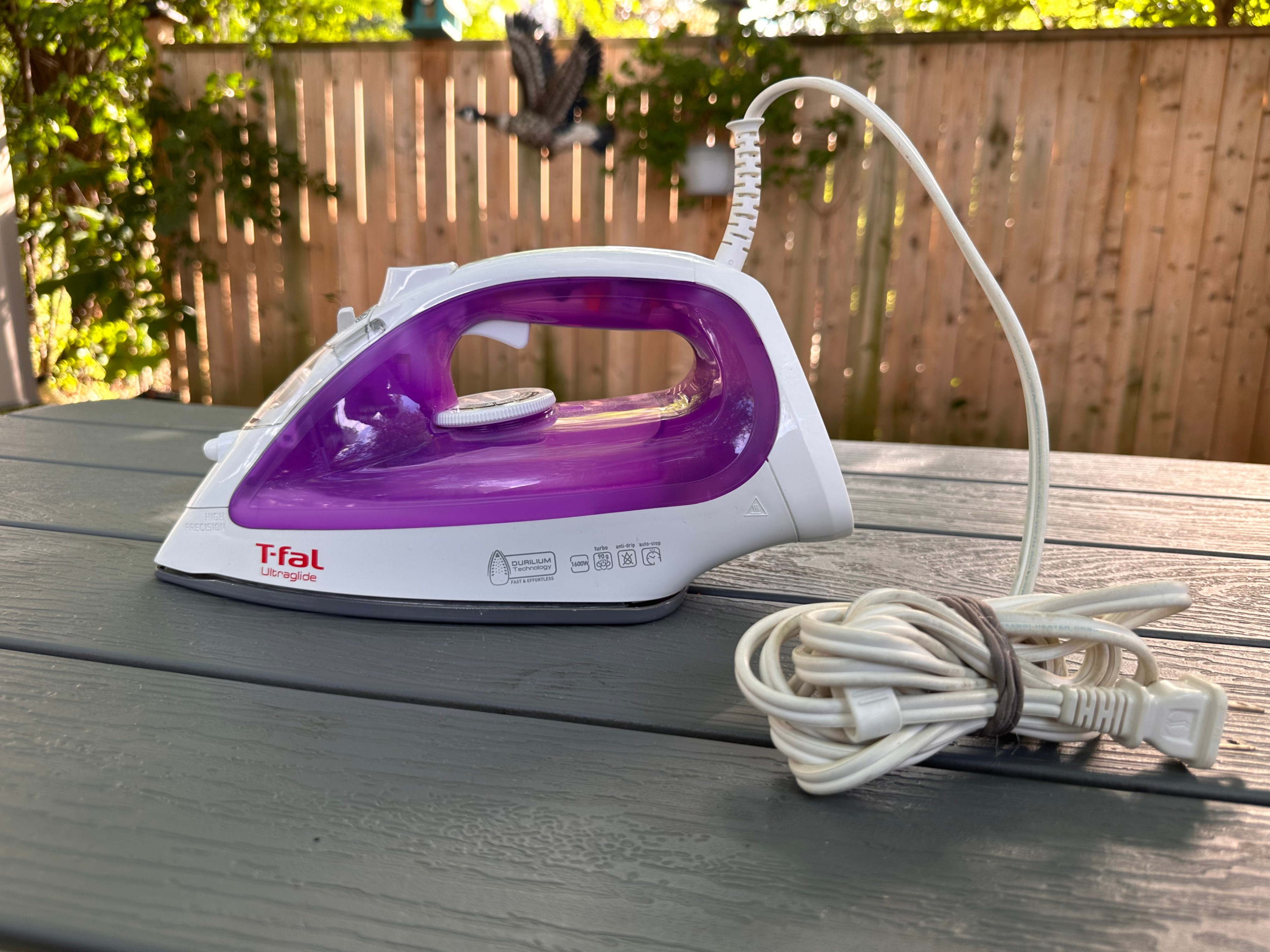 1800W • Iron & Garment Steamer • Excellent Condition
