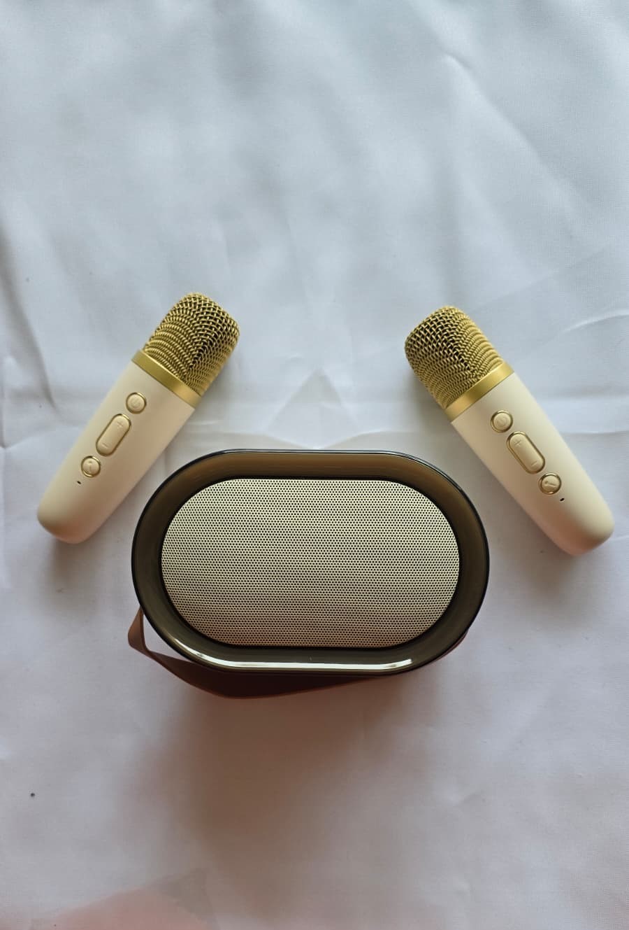 Karaoke Speaker System with 2 Wireless Microphones - photo 2