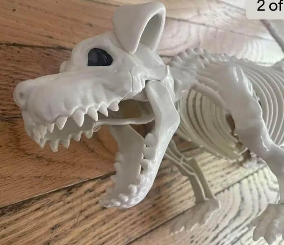 NEW - Skeleton dog with rotating head - photo 4