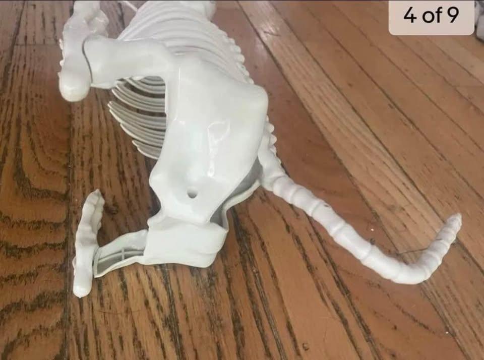 NEW - Skeleton dog with rotating head - photo 2