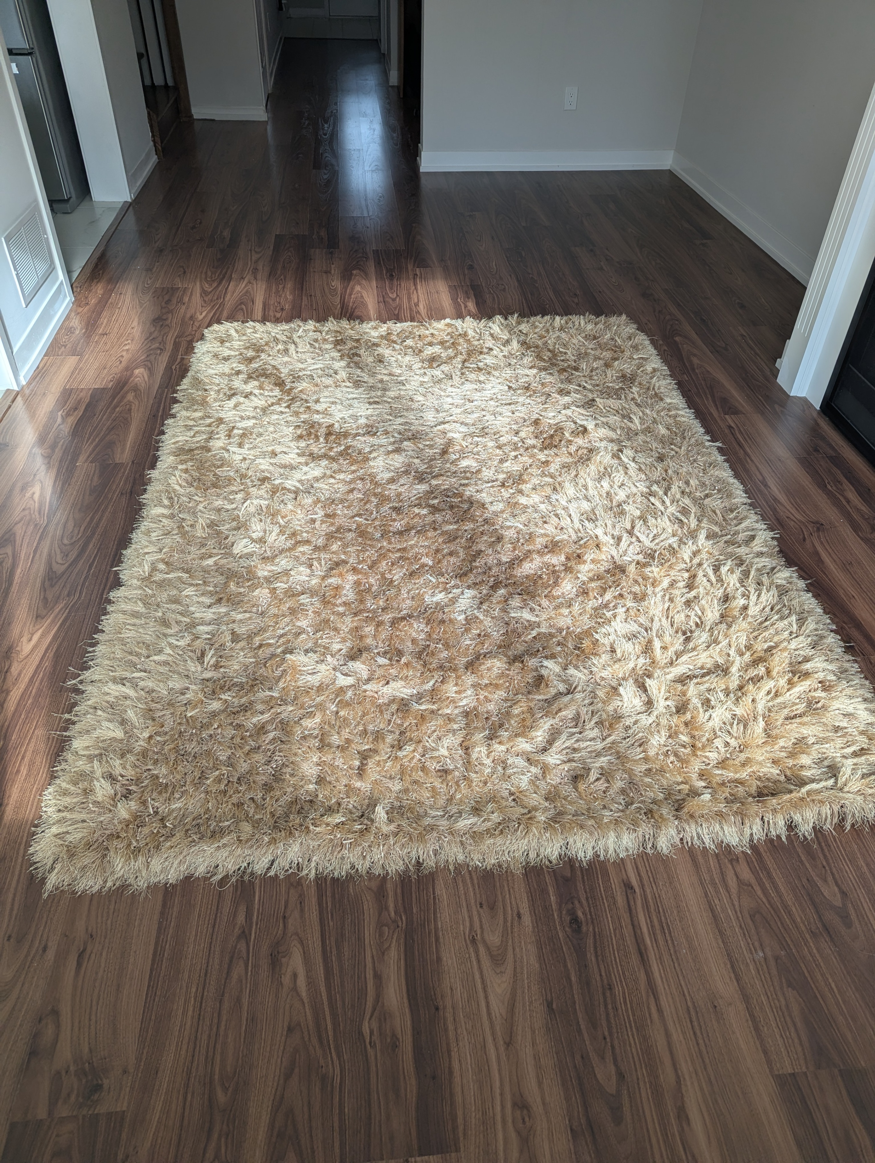 Warm Beighe/Gold Area Rug