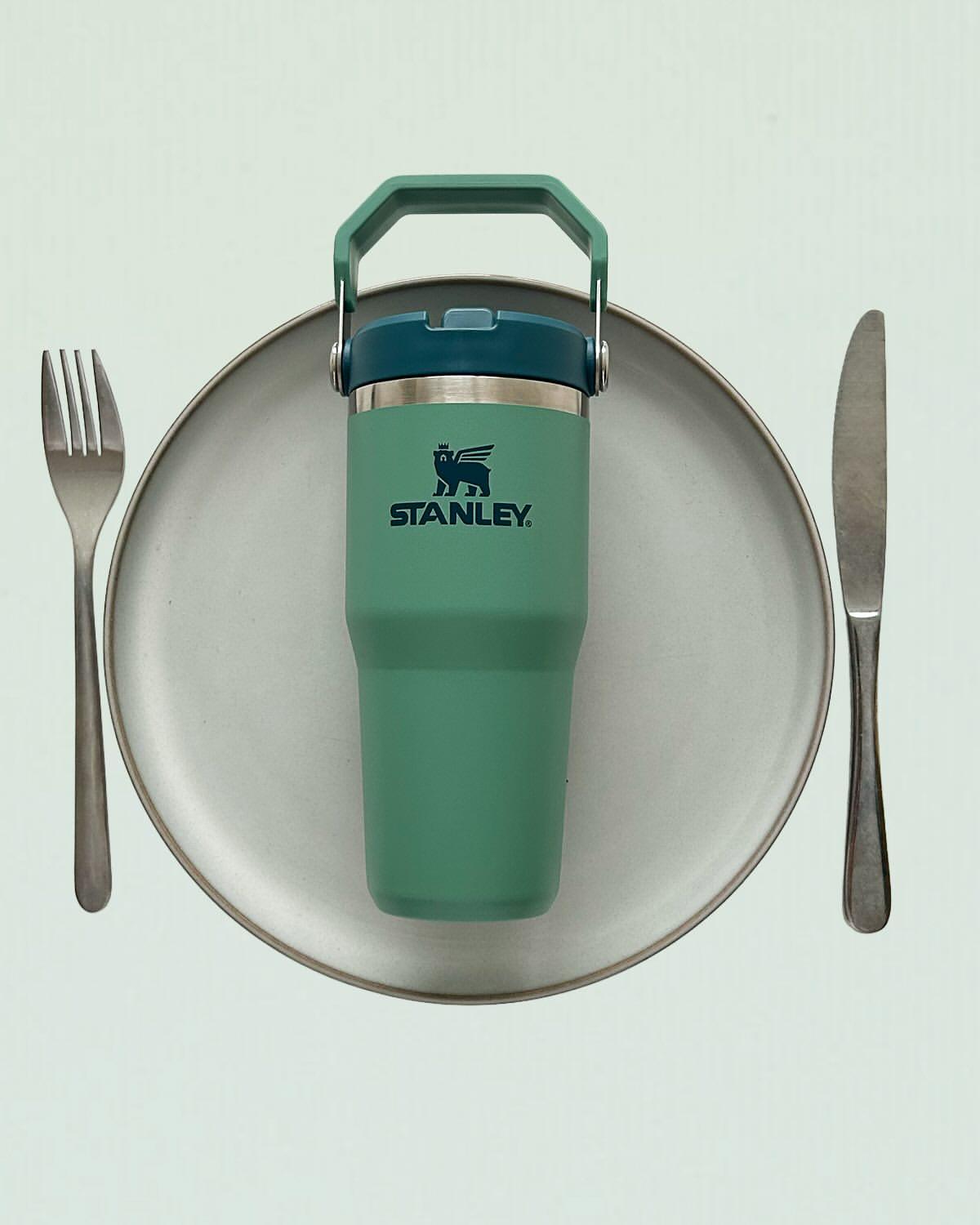 Stanley Tumbler 14 Oz - Spring Green - Perfect for young kids - photo 4