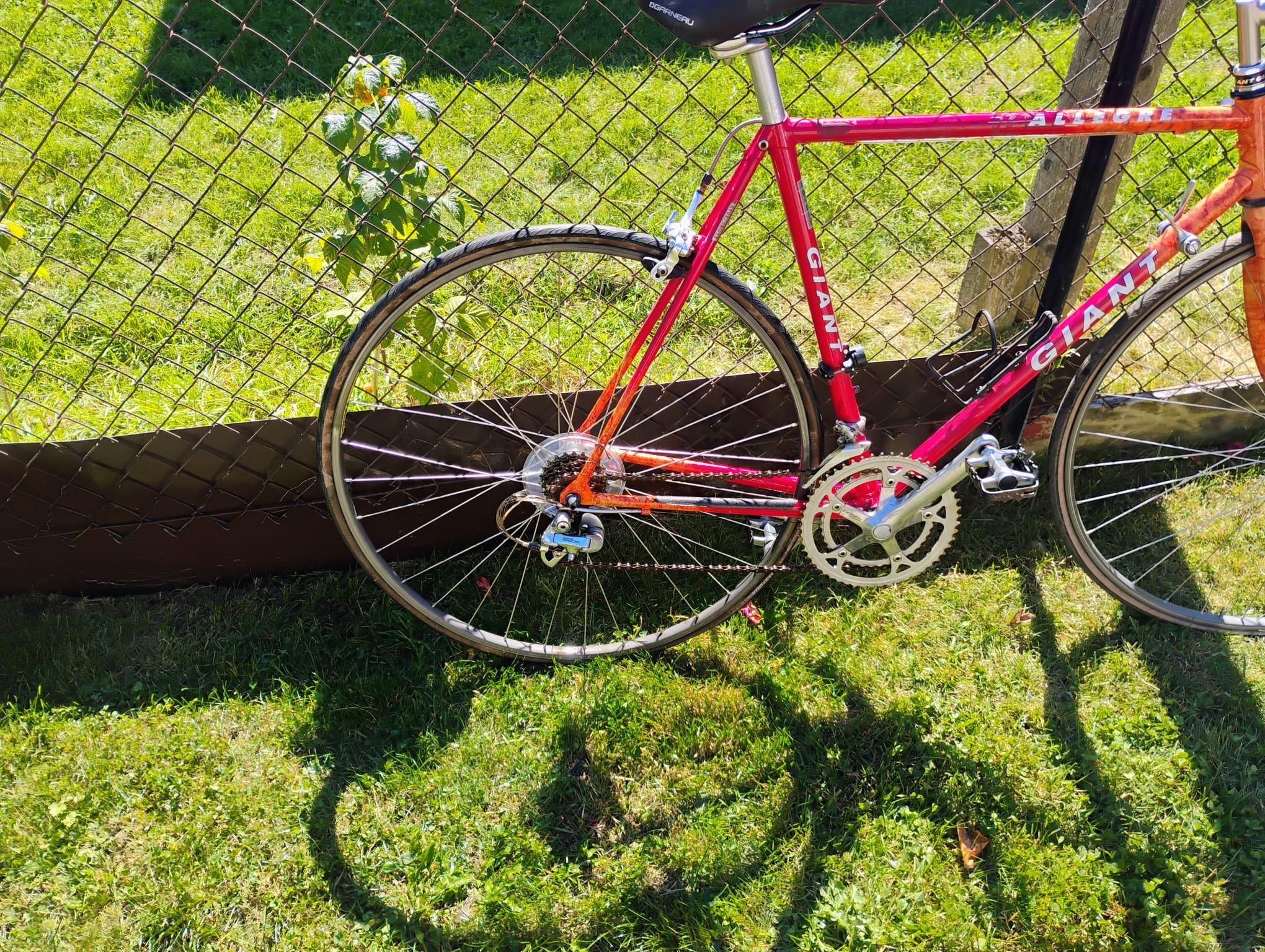 1990's Giant Allegre Racing Bike - photo 2