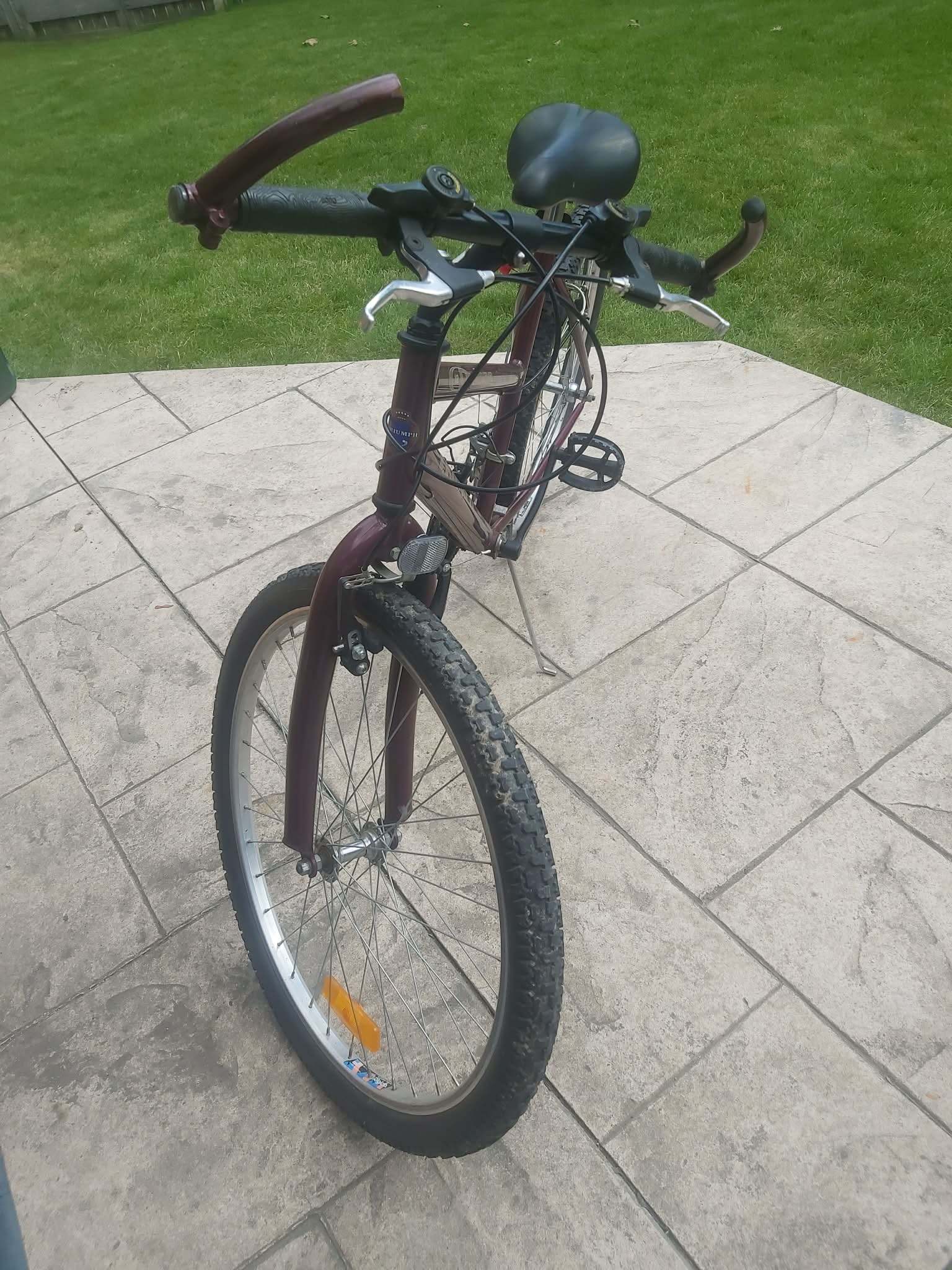 Triumph Cyclone 18-Speed Mountain Bike - photo 5