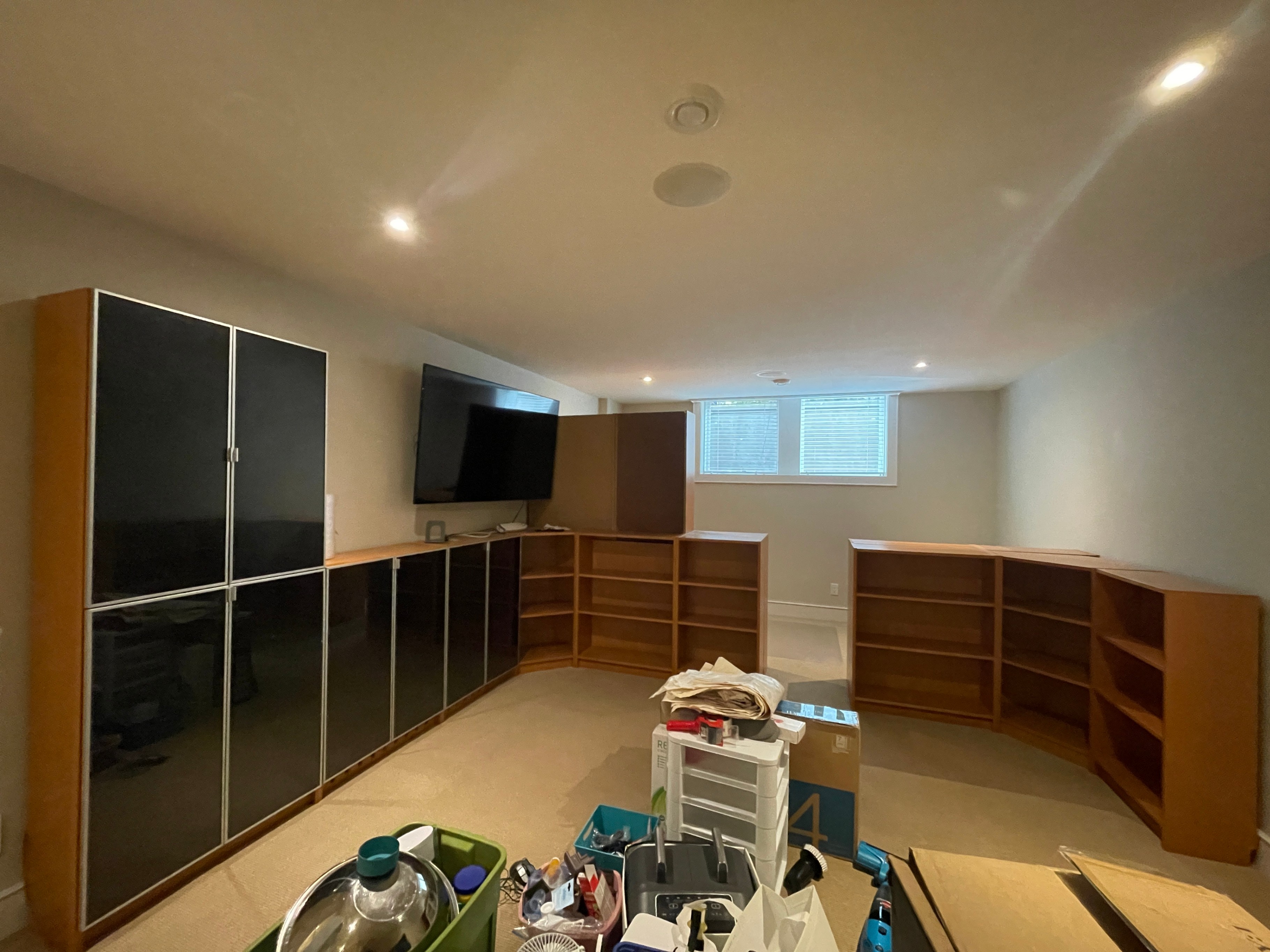 Billy Bookshelves (11 bookcases, 8 doors, 1 insert)