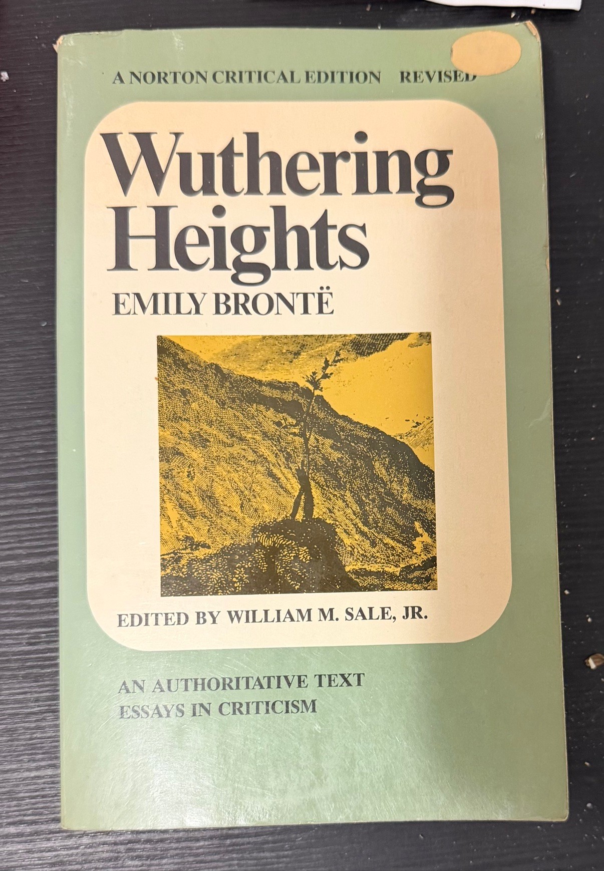 Wuthering Heights (Norton Critical Edition, Revised)