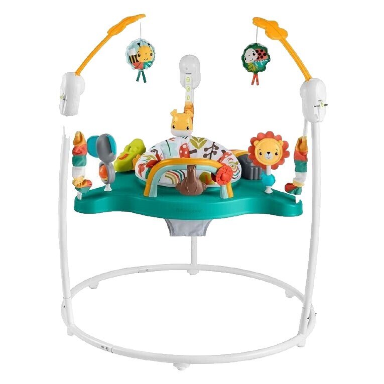 Fisher-Price Jumperoo