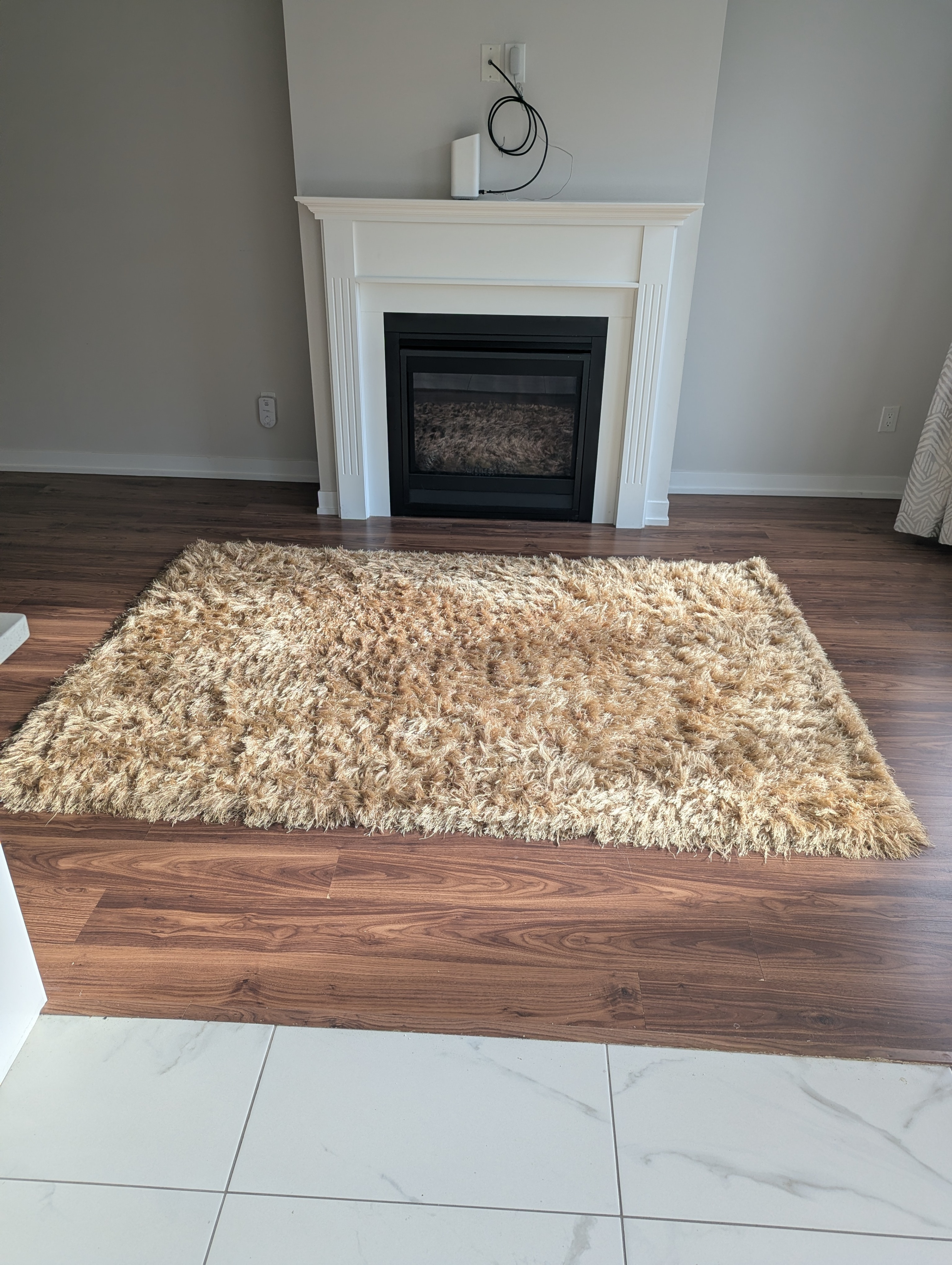 Warm Beighe/Gold Area Rug - photo 2
