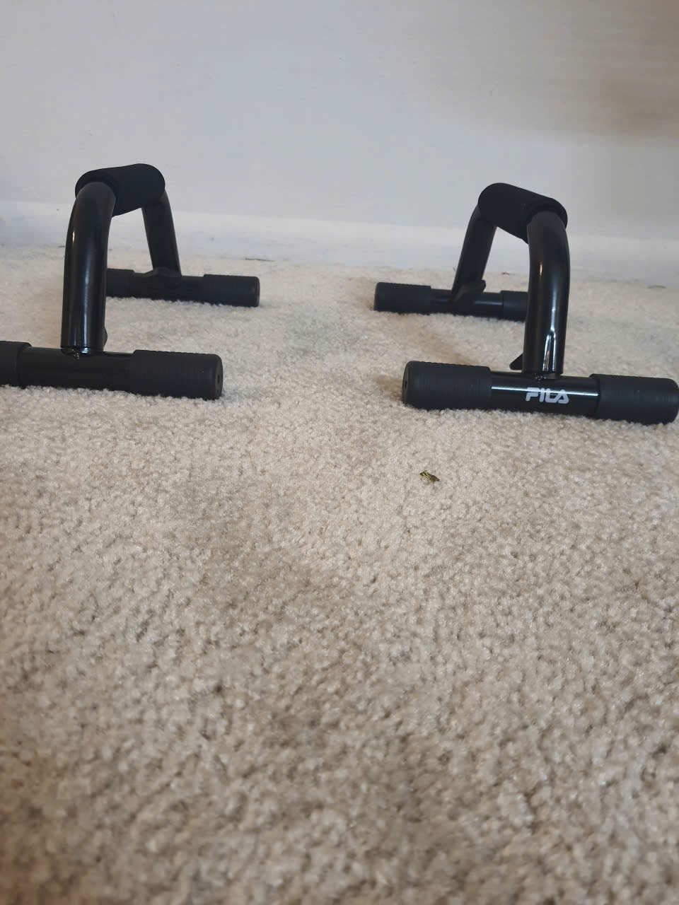Fila Push-Up Bars