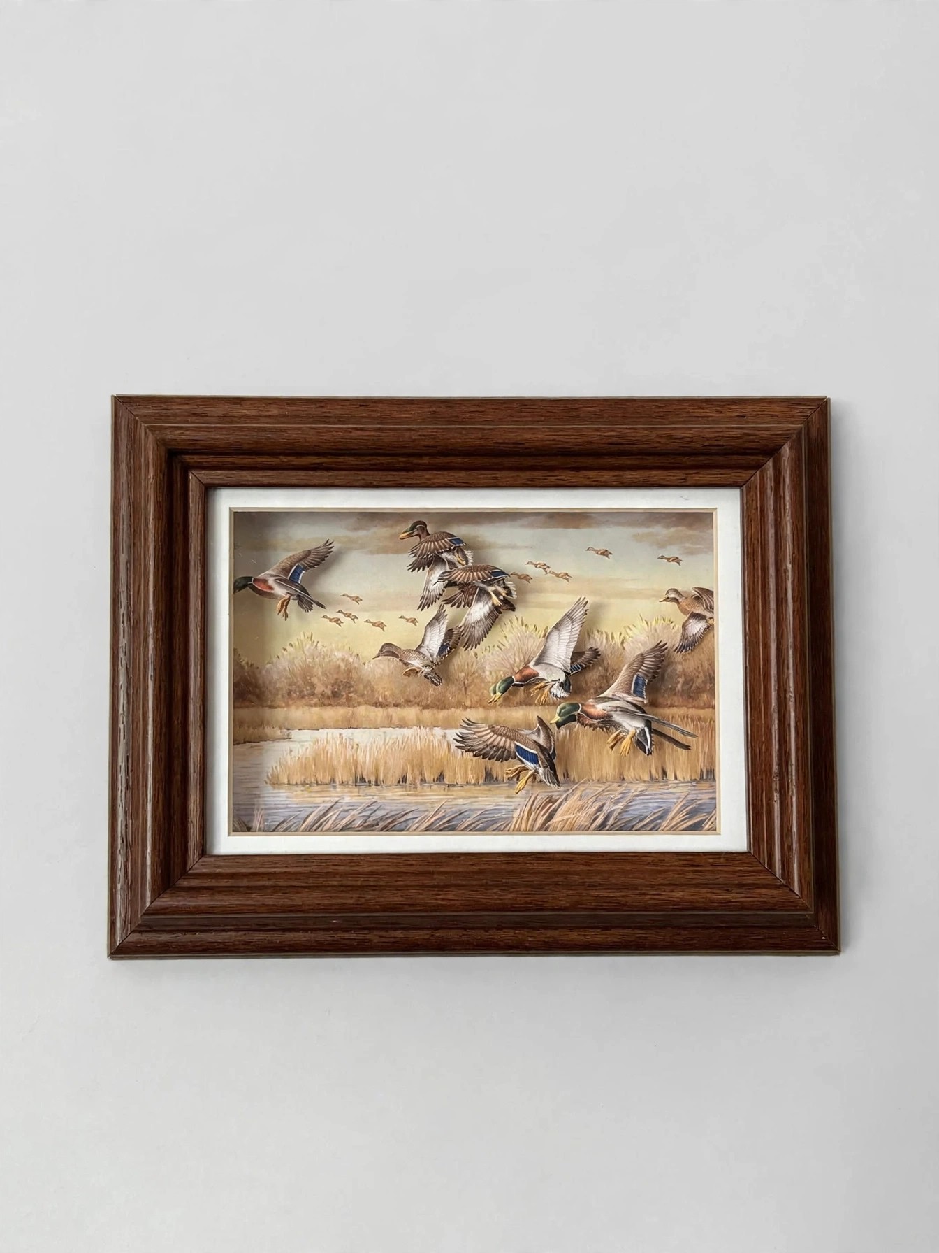 3D Mallard Duck Shadow Box Wall Art Framed - photo 4