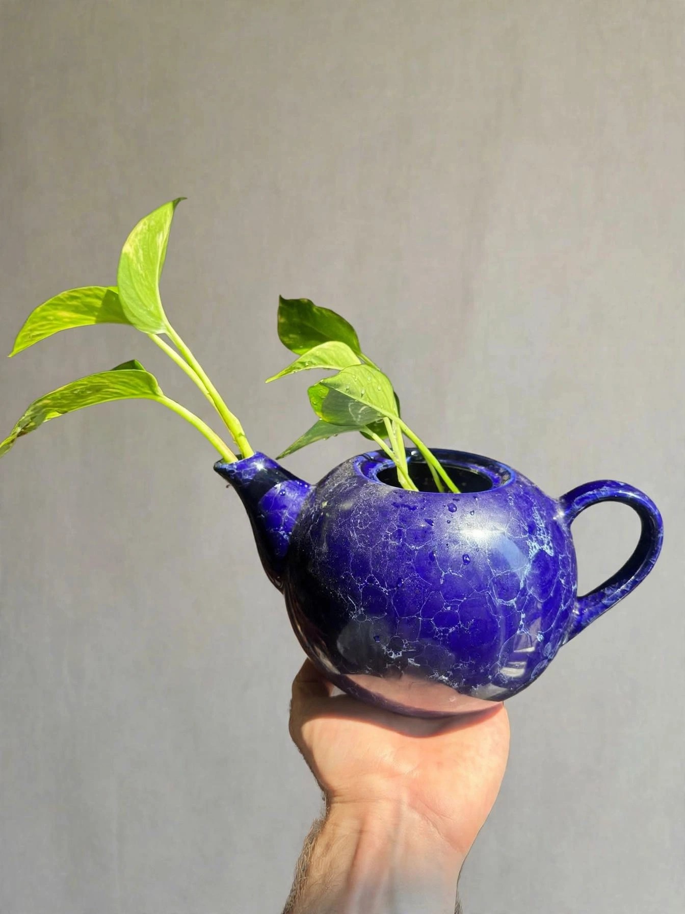 Cobalt Blue Ceramic Teapot Planter Crackle Glaze Lid With Pothos - photo 3