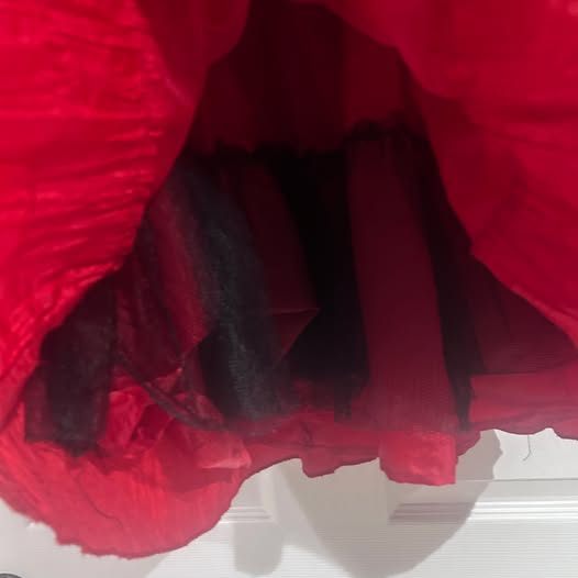 Red Sleeveless Girl's Party Dress 4 - photo 3