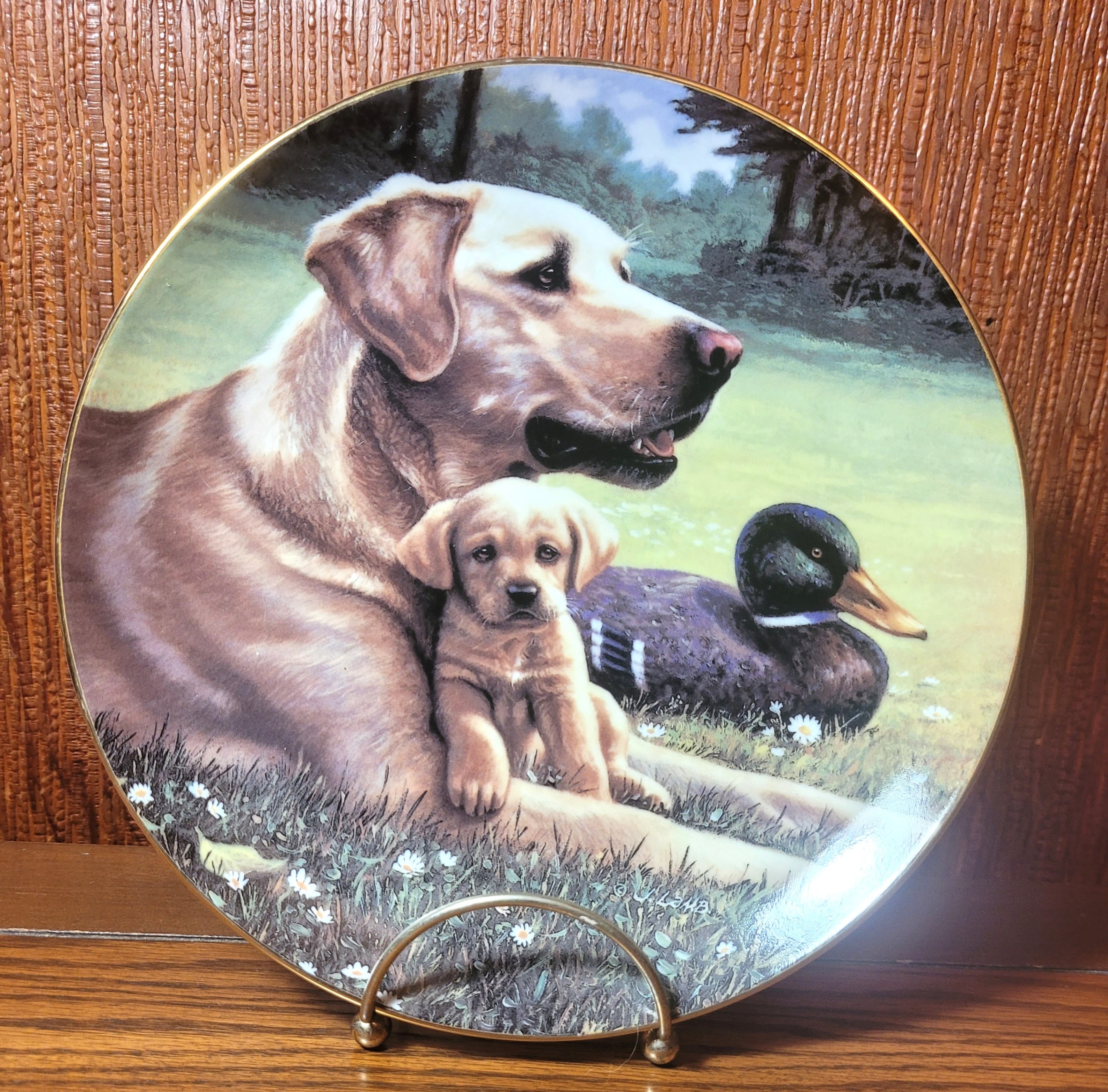 1991 Hamilton Collection Plate Like Father Like Son Jim Lamb