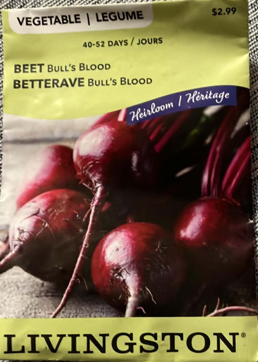 Beet Bull's Blood Seeds