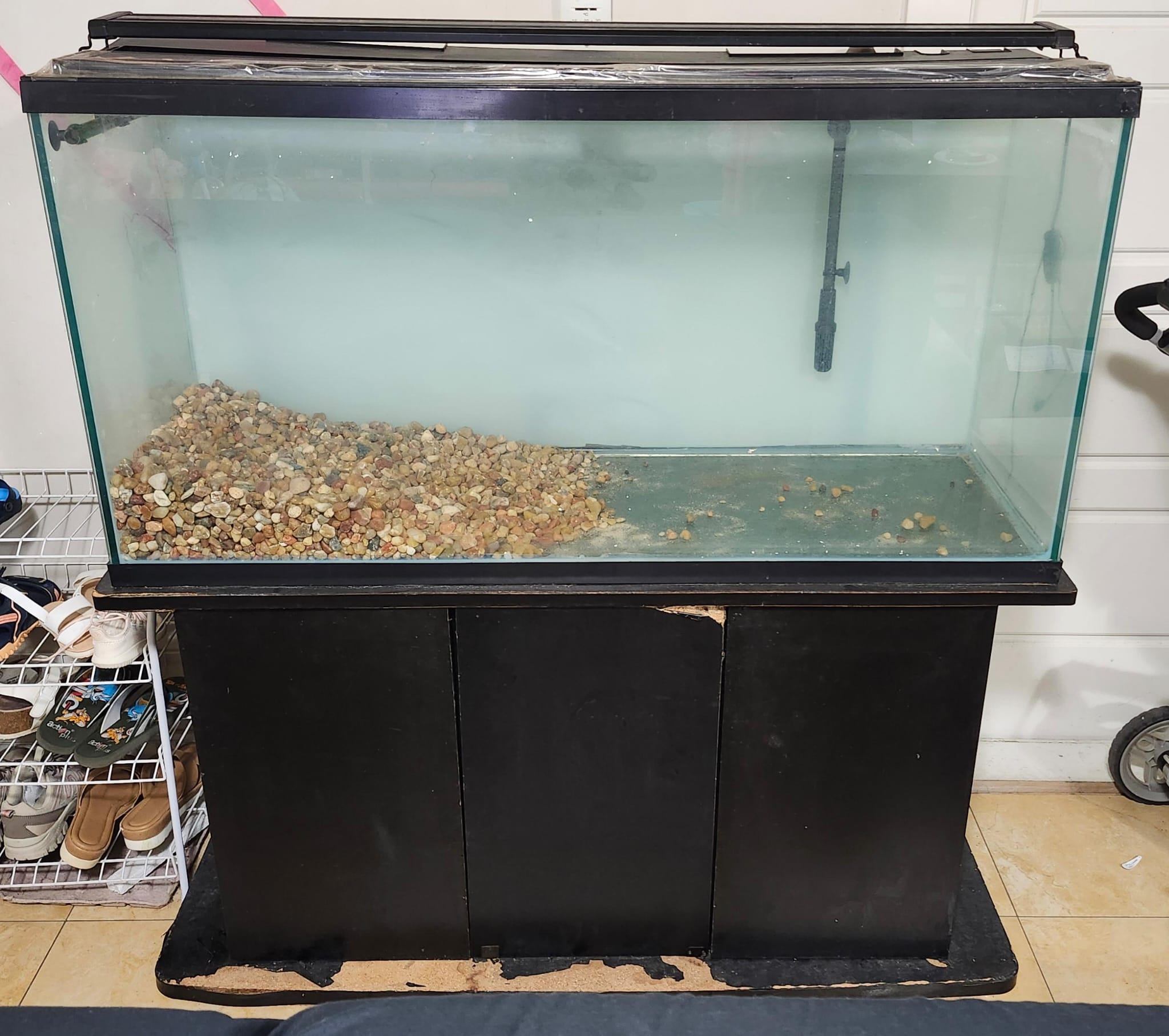 4ft Aquarium Setup – Full Equipment - photo 4