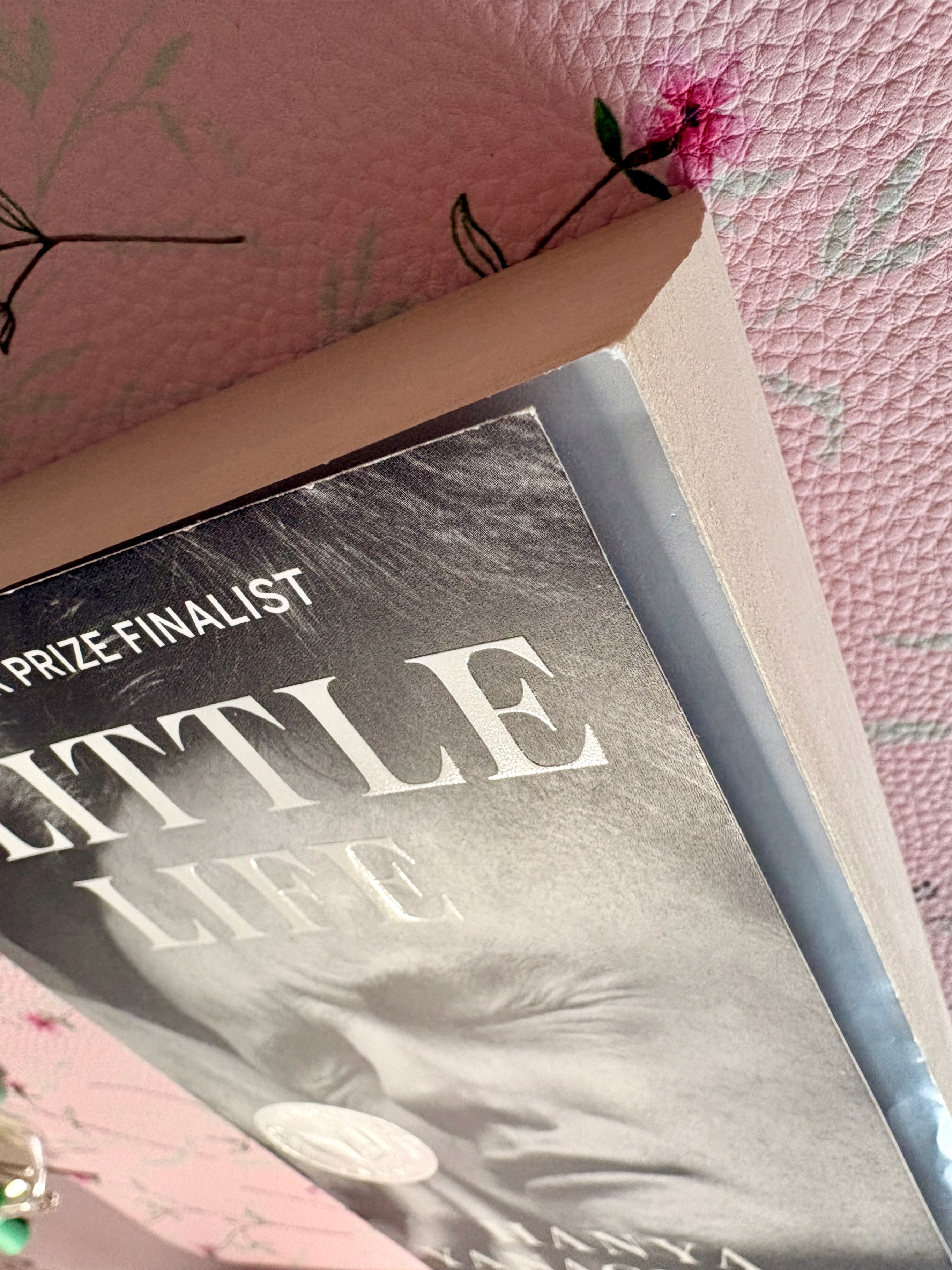 A Little Life by Hanya Yanagihara - English Paperback - photo 5