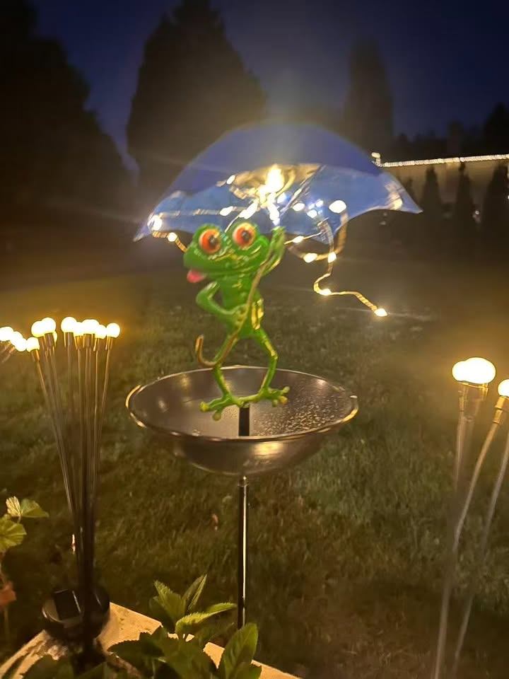 Solar Frog Garden Light – Umbrella & Feeder Bowl - photo 2