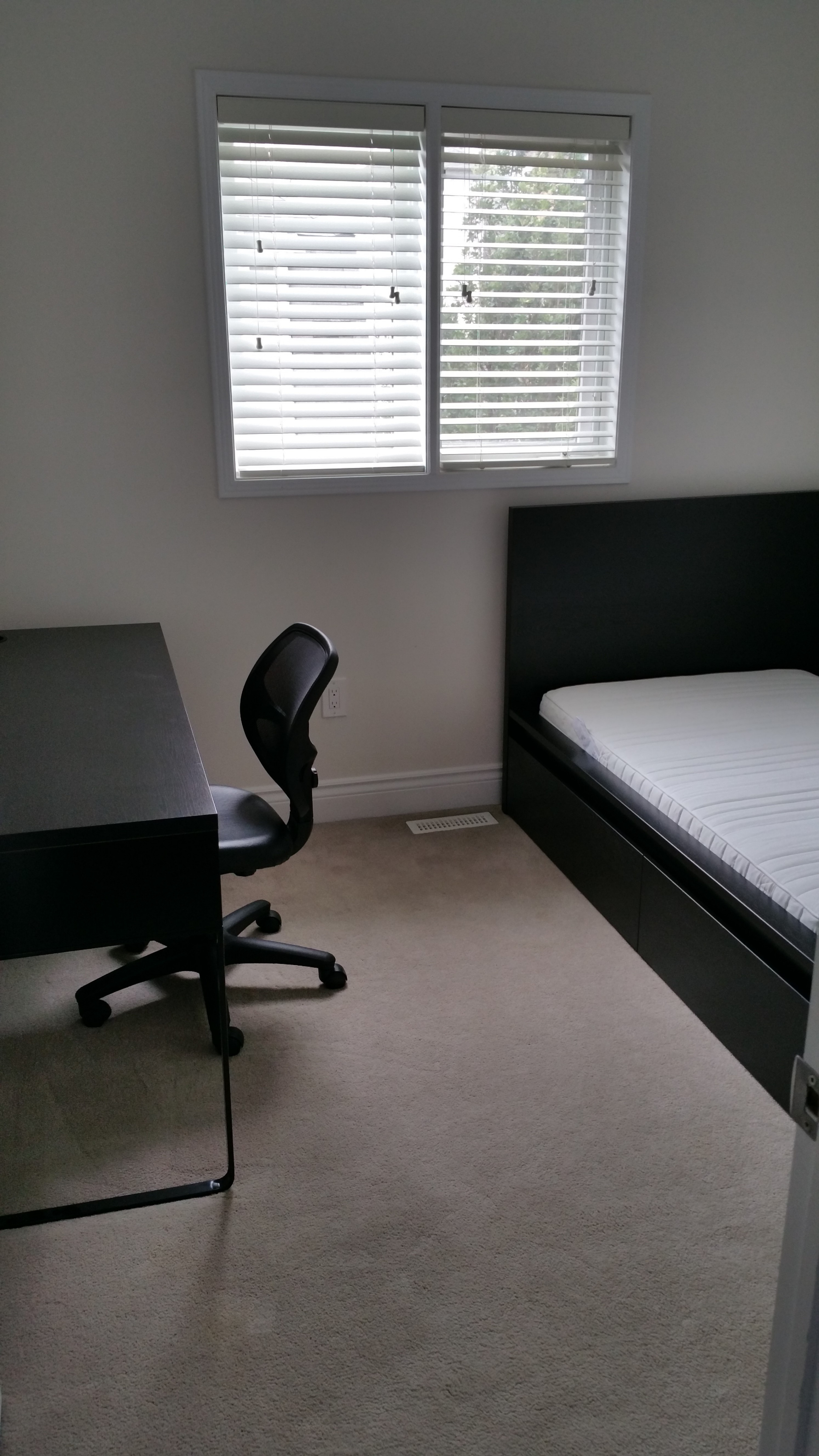 Trafalgar/Glenashton - Room near Sheridan and Walmart - photo 2