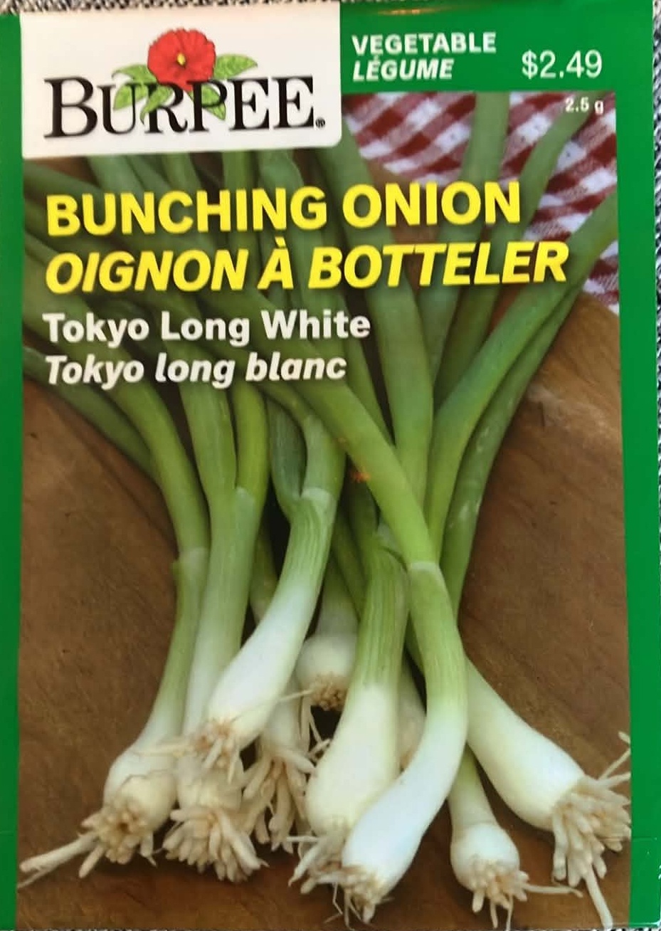 Bunching Onion Tokyo Long White Seeds
