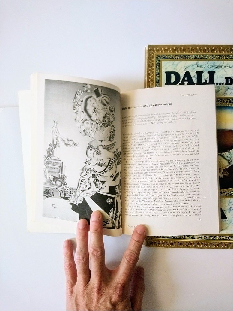 Salvador Dali books! - photo 4