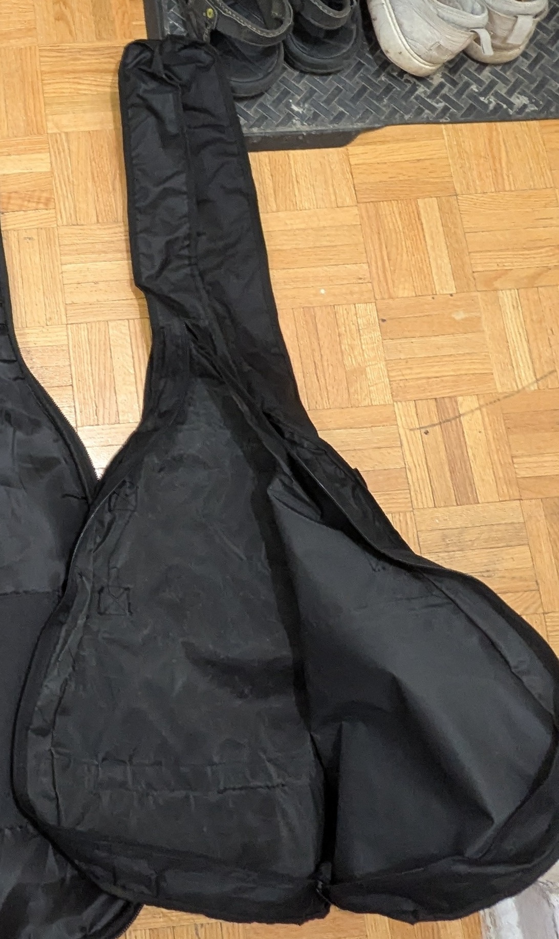 Guitar without Padded Gig Bag Soft Case Unlined Cover Backpack - photo 3