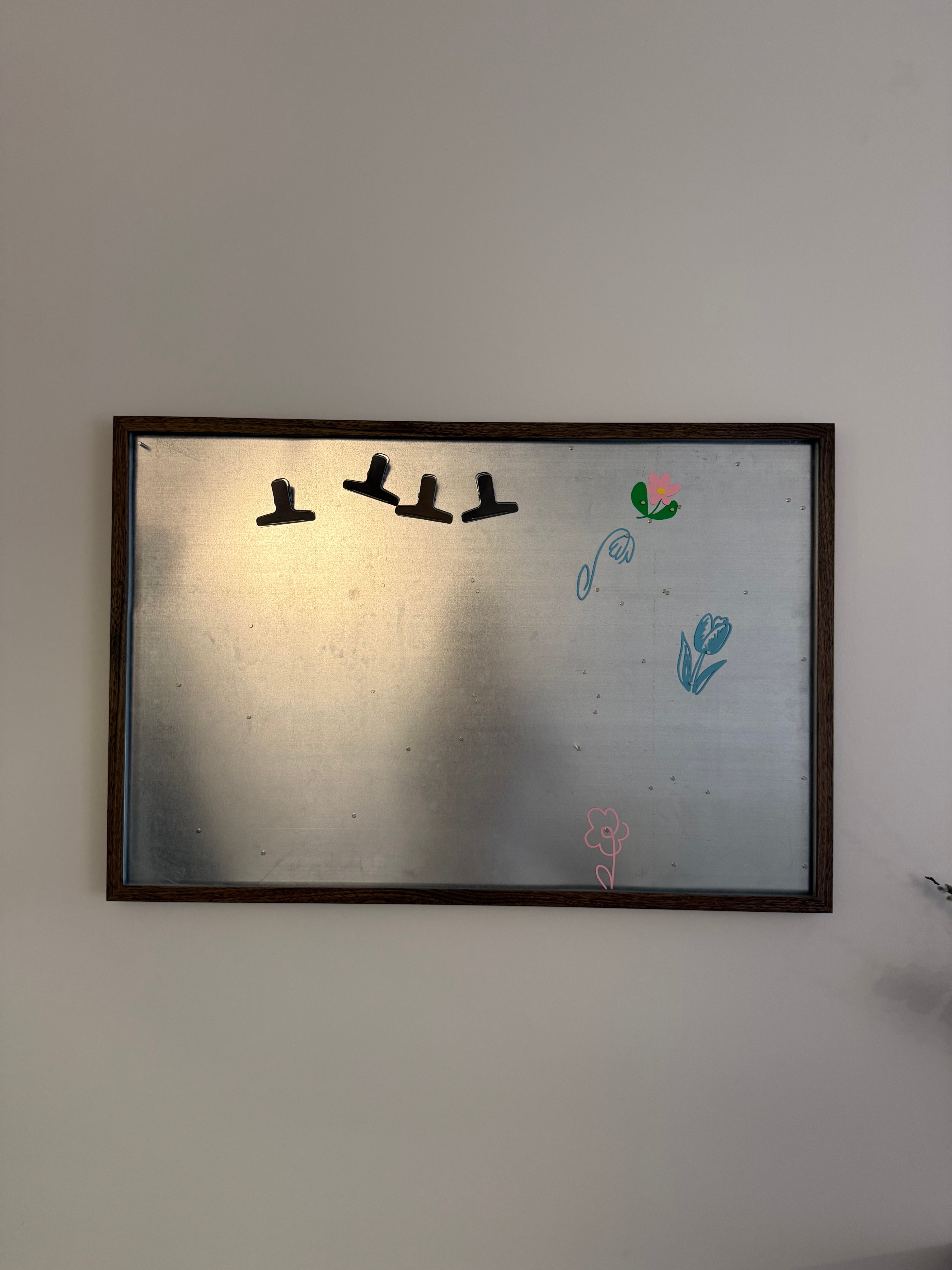 Magnetic Metal Board with Clips and Magnets