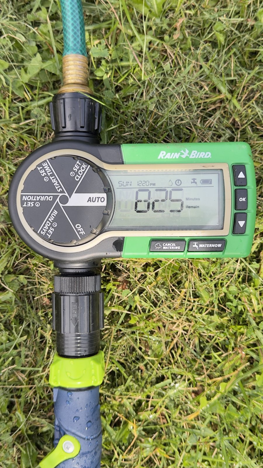 Rain Bird Digital Hose Timer – Sprinkler Water Timer, Works