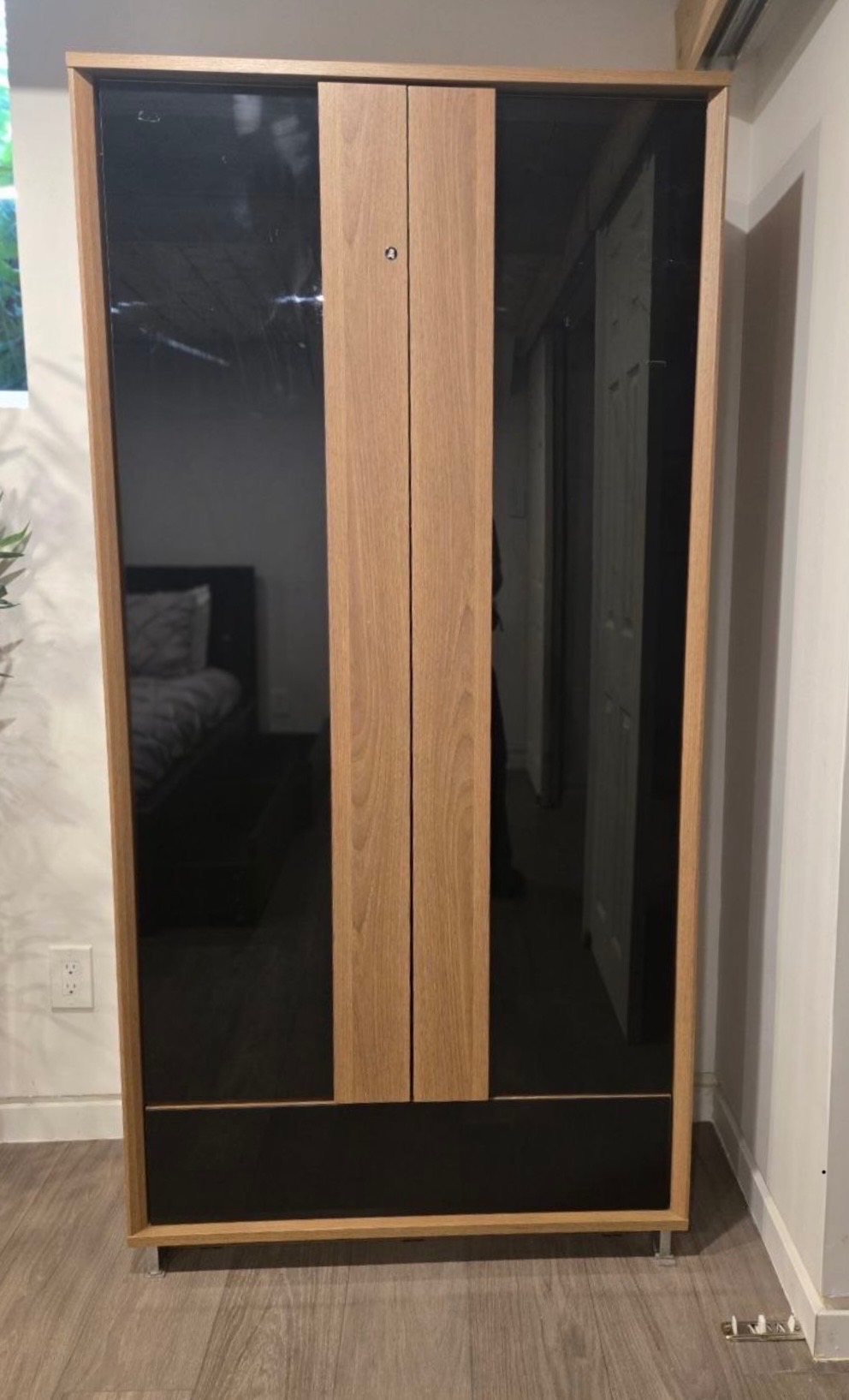 Premium Oak Wood and Black Glass Cabinet