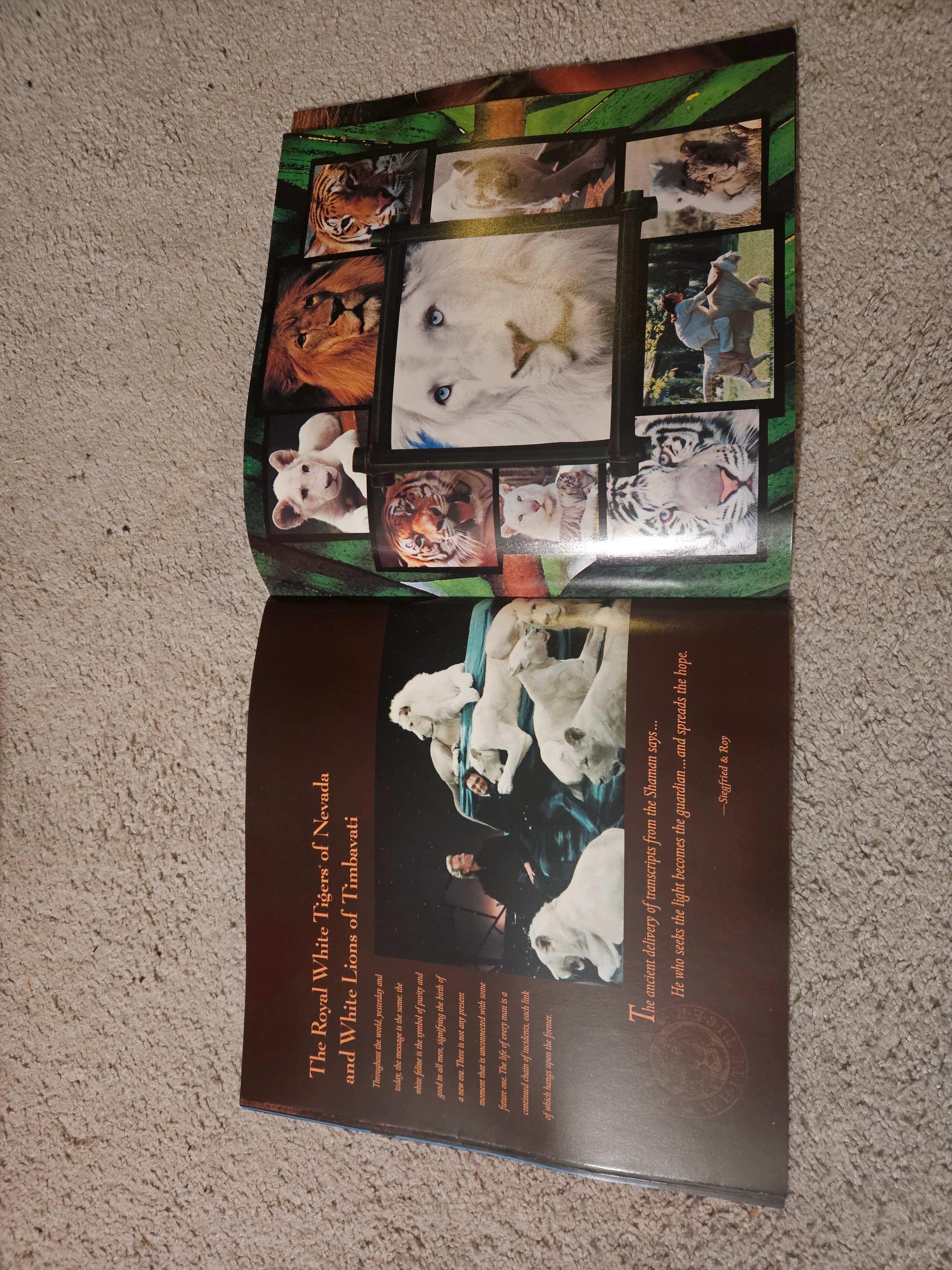Siegfried & Roy at the Mirage 1998 Souvenir Program Brochure - photo 3