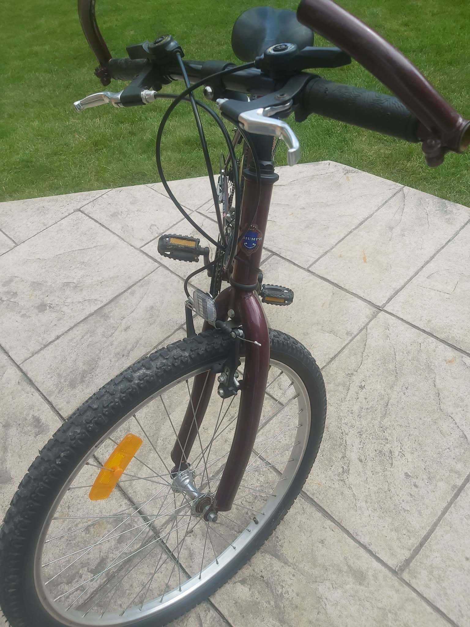 Triumph Cyclone 18-Speed Mountain Bike